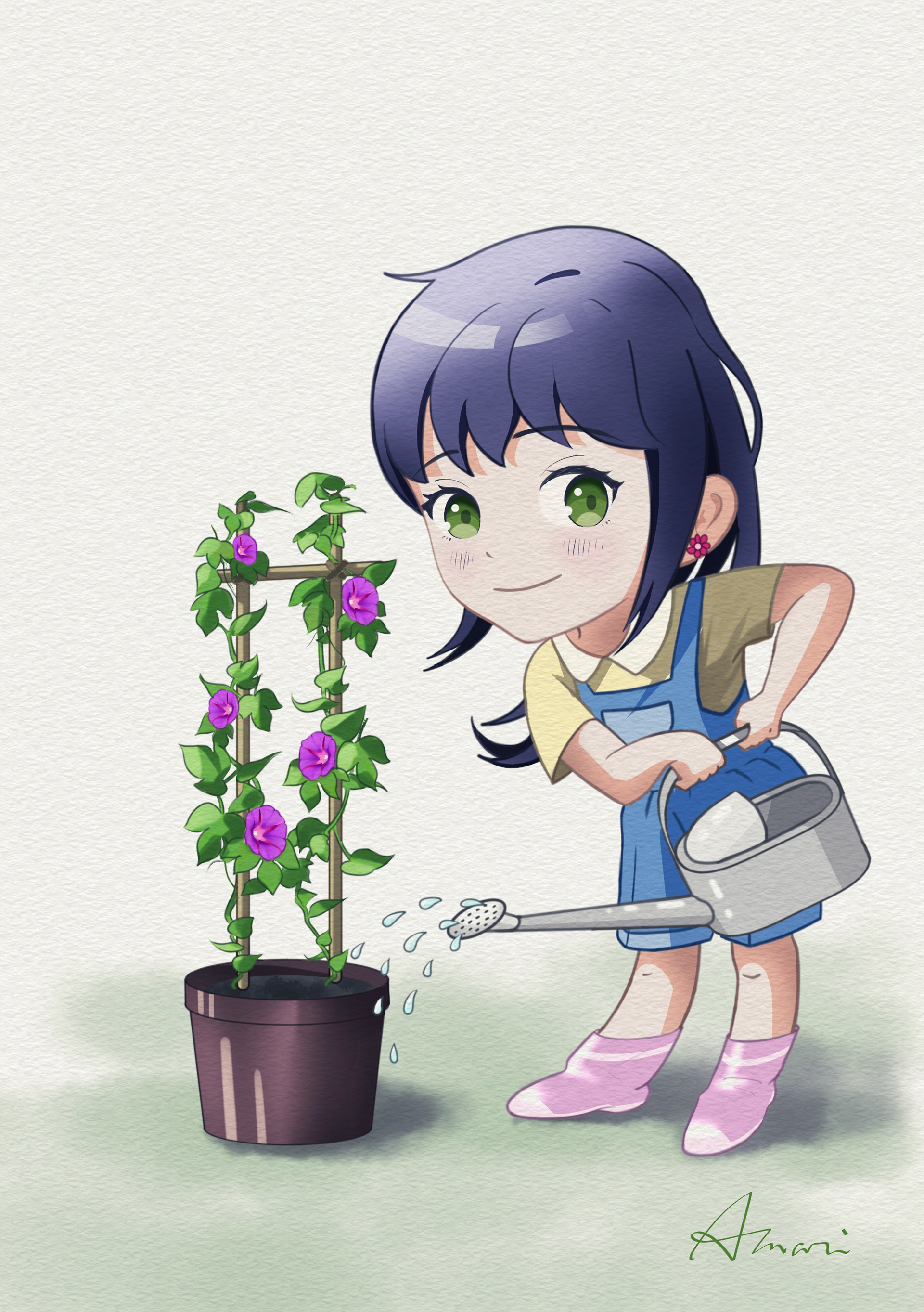 朝顔