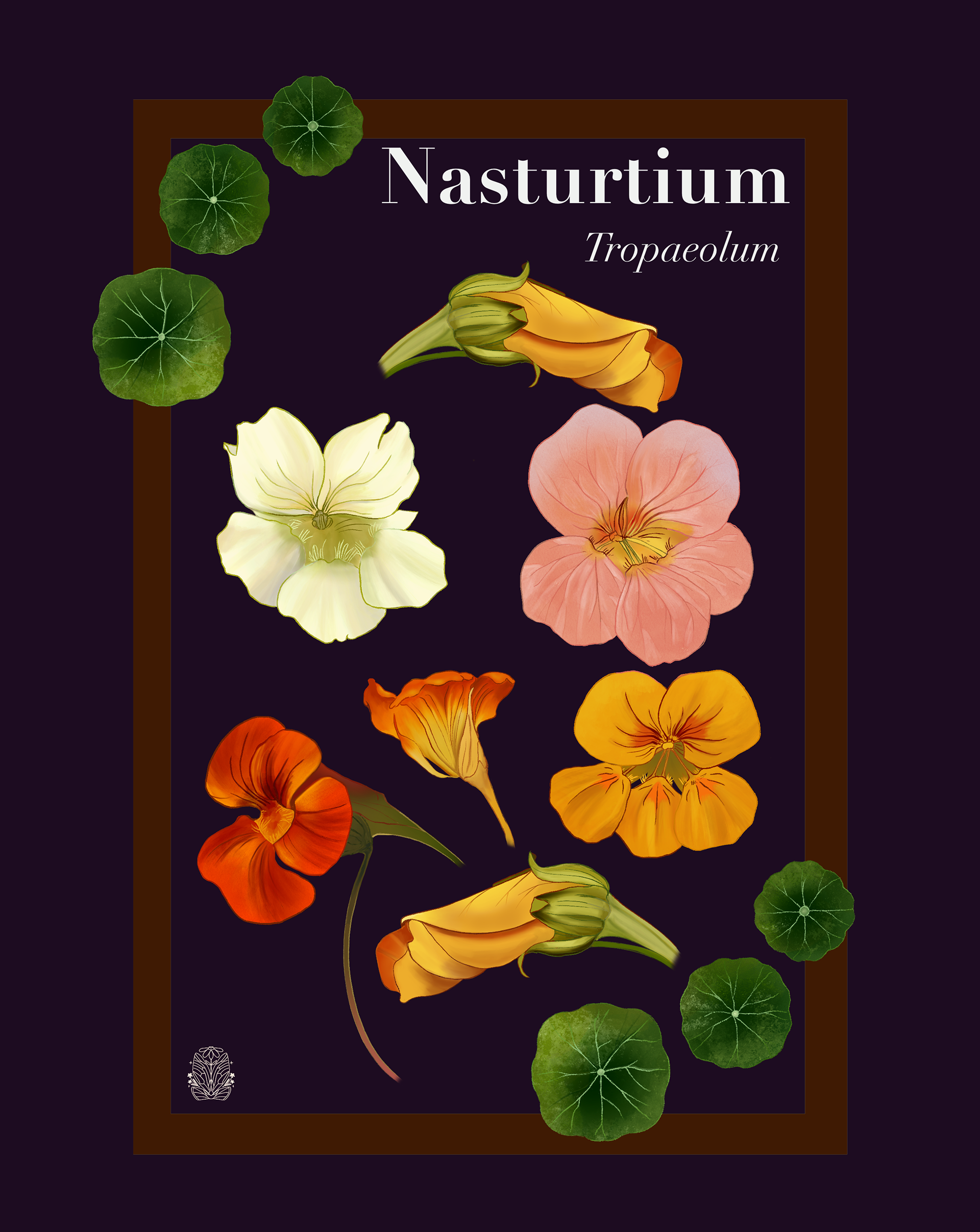 Nasturtium Journal Cover Design