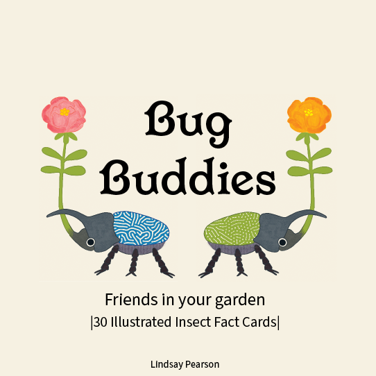 Insect fact cards cover concept