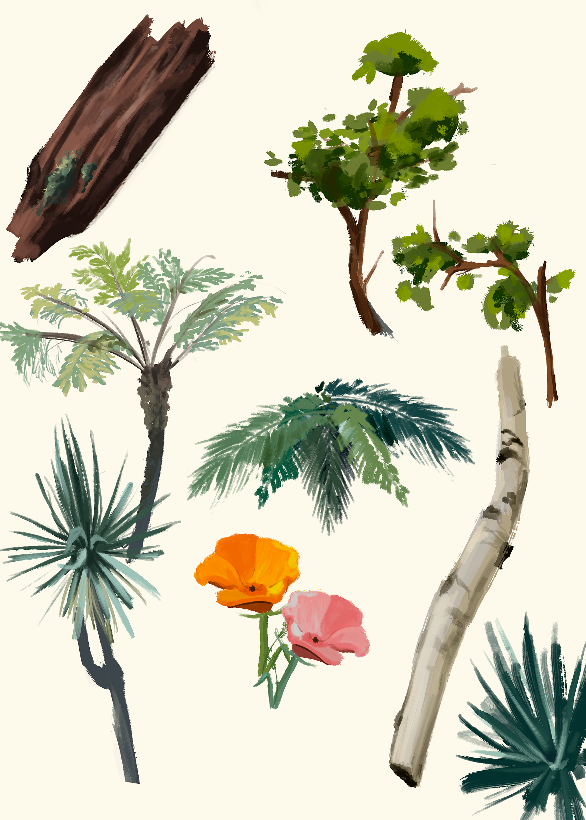 Stylized Foliage Studies