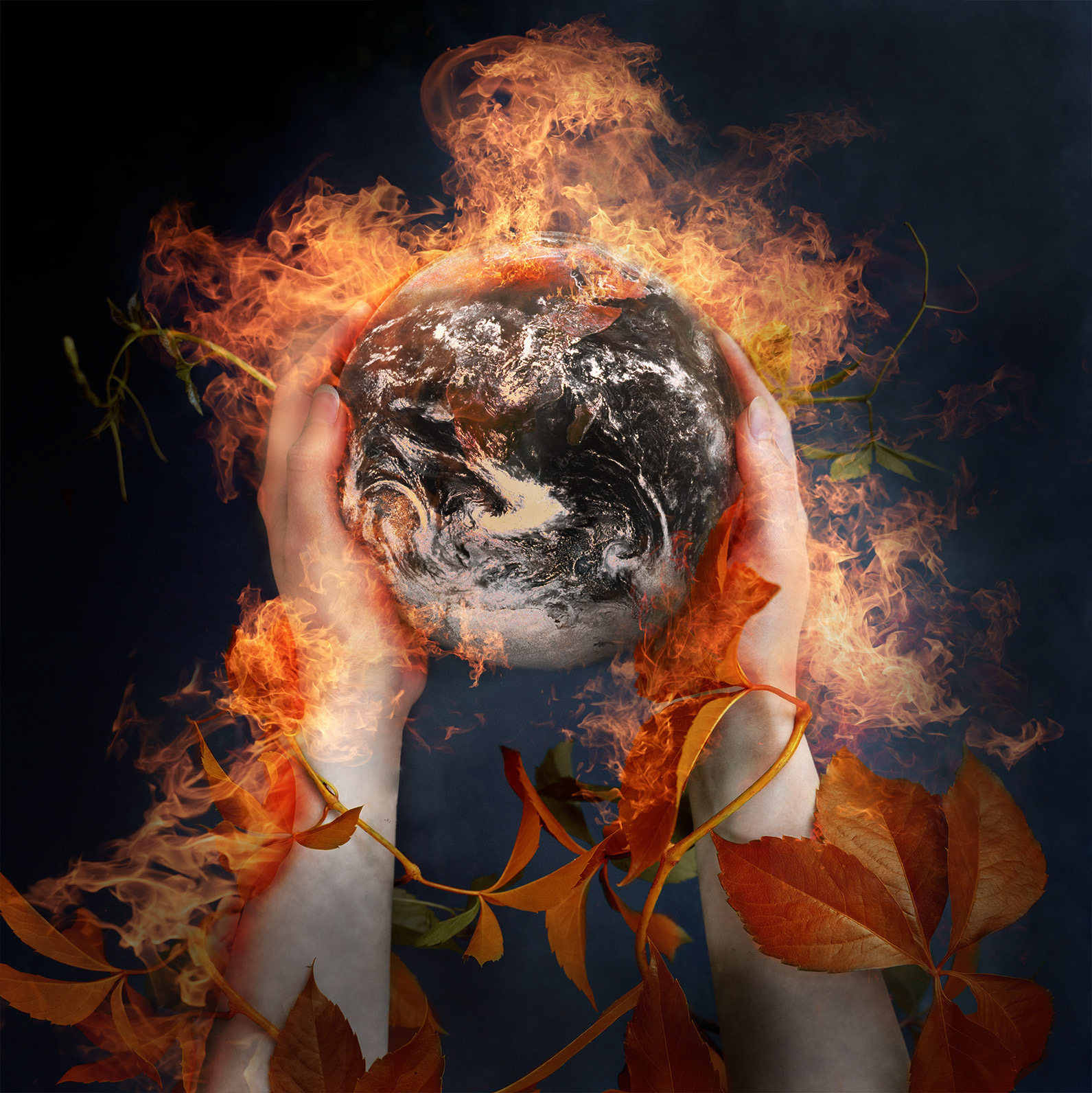 Earth in our hands. 2019