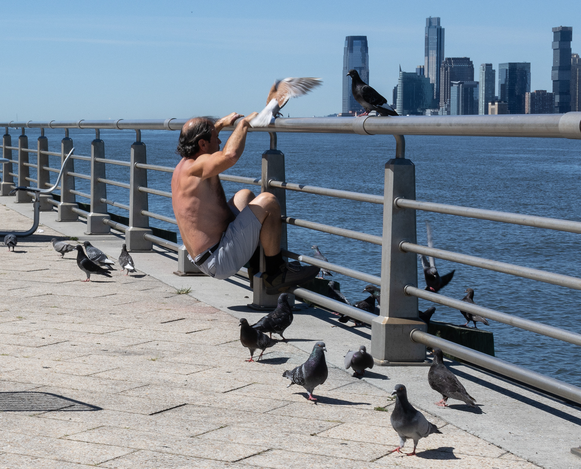 Now raise your wings, like this.