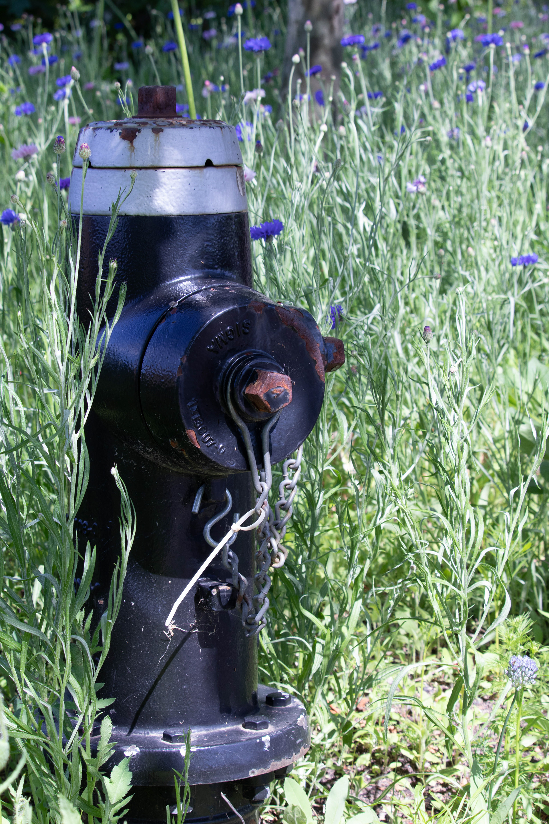 Fireplug