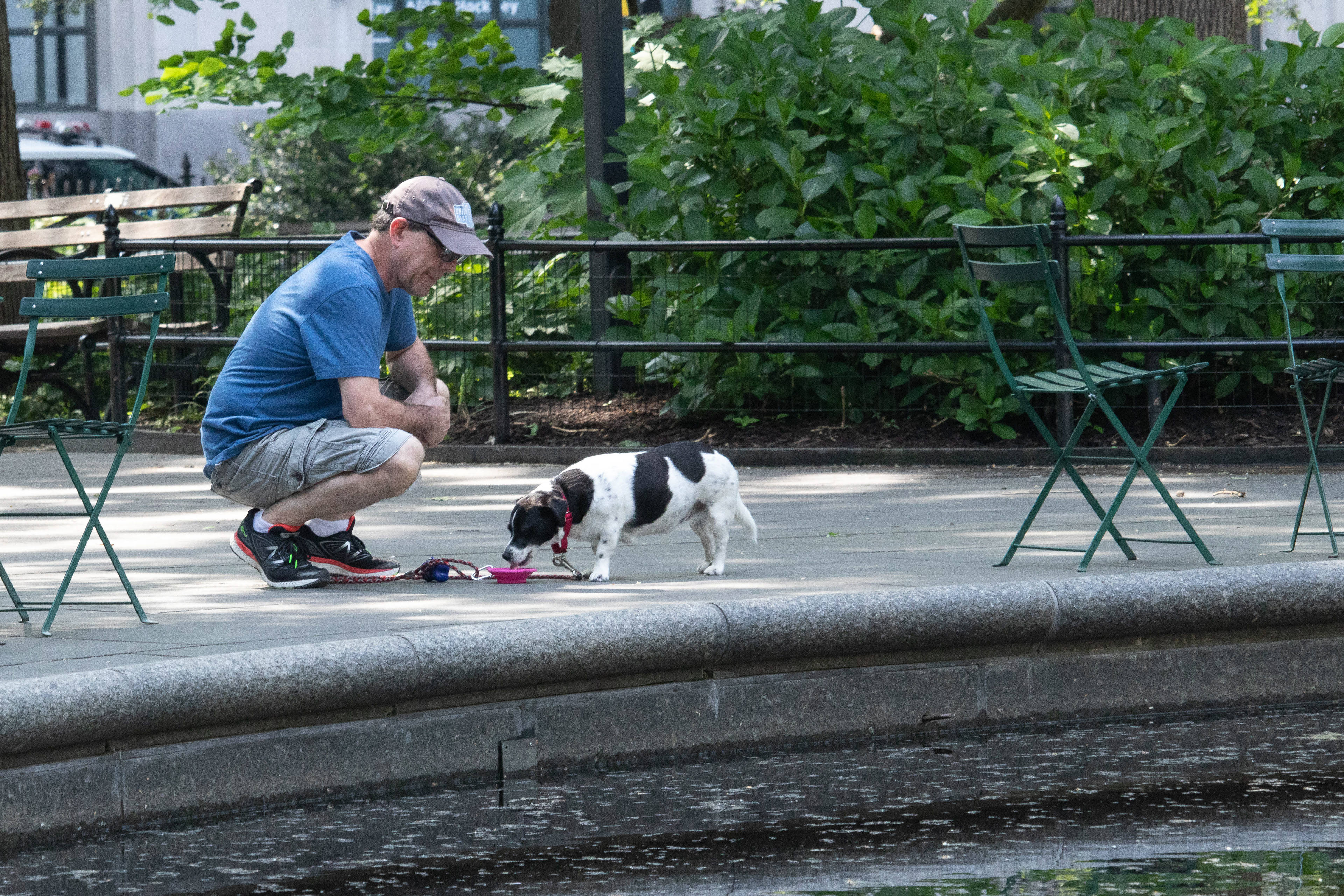 Walking your human is thirsty work