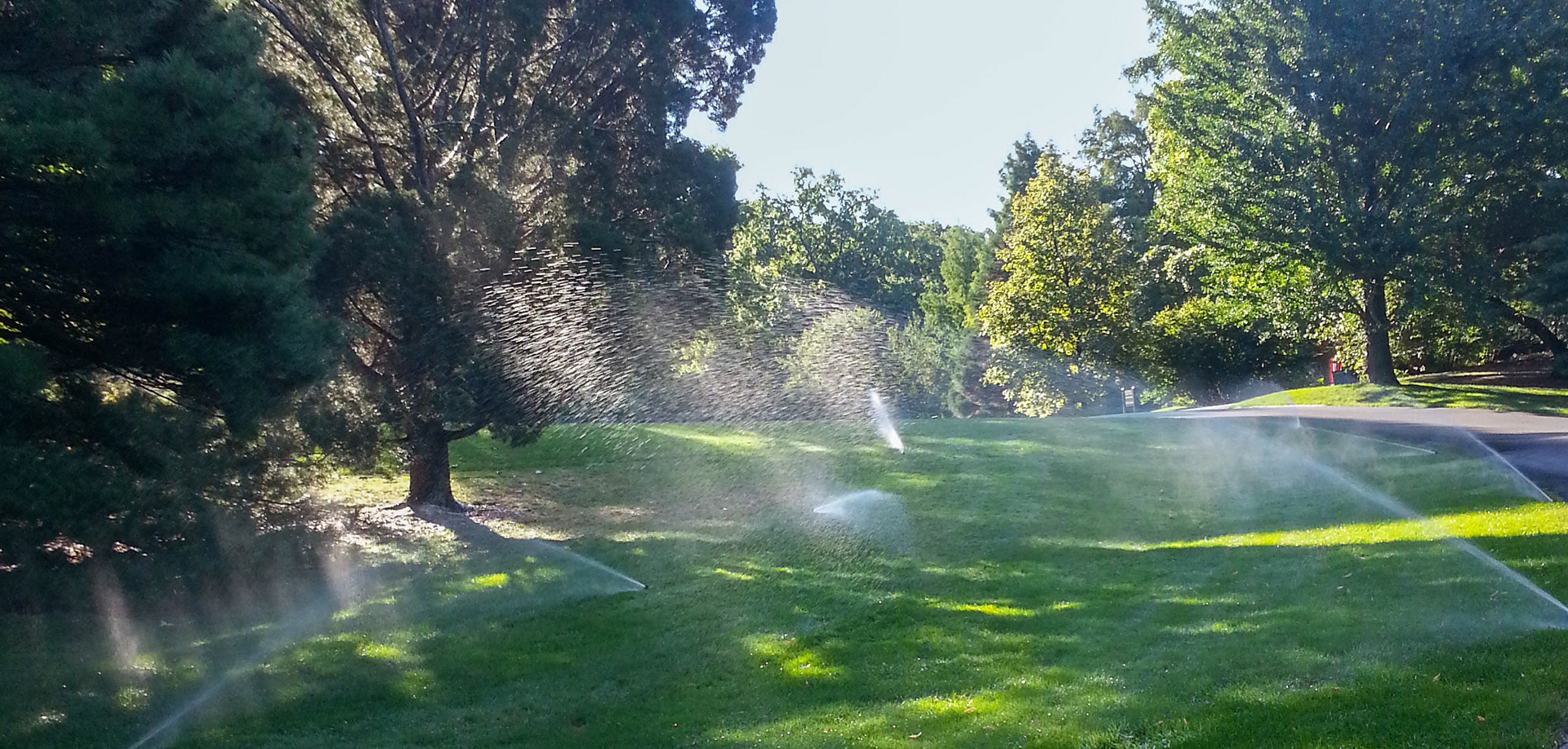 Pavanne for eight sprinklers and some God rays