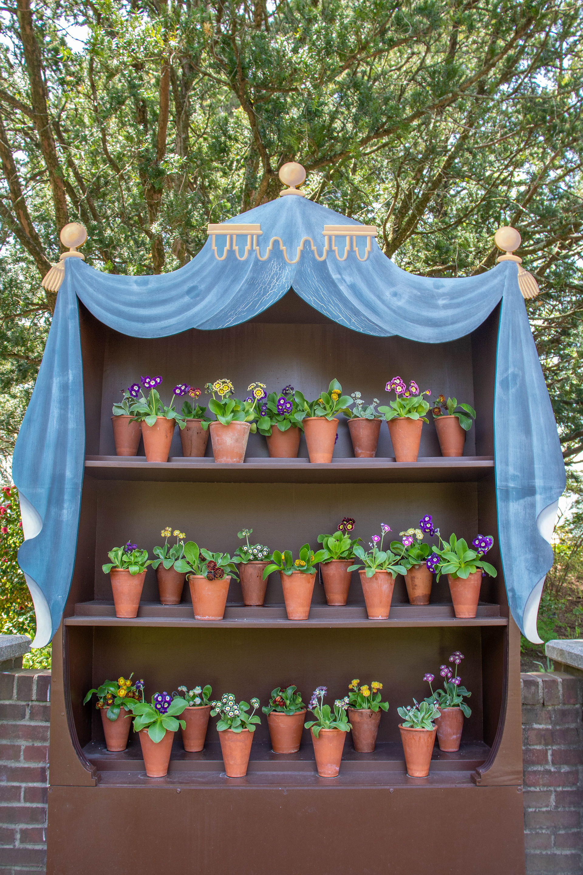 Auricula Theatre