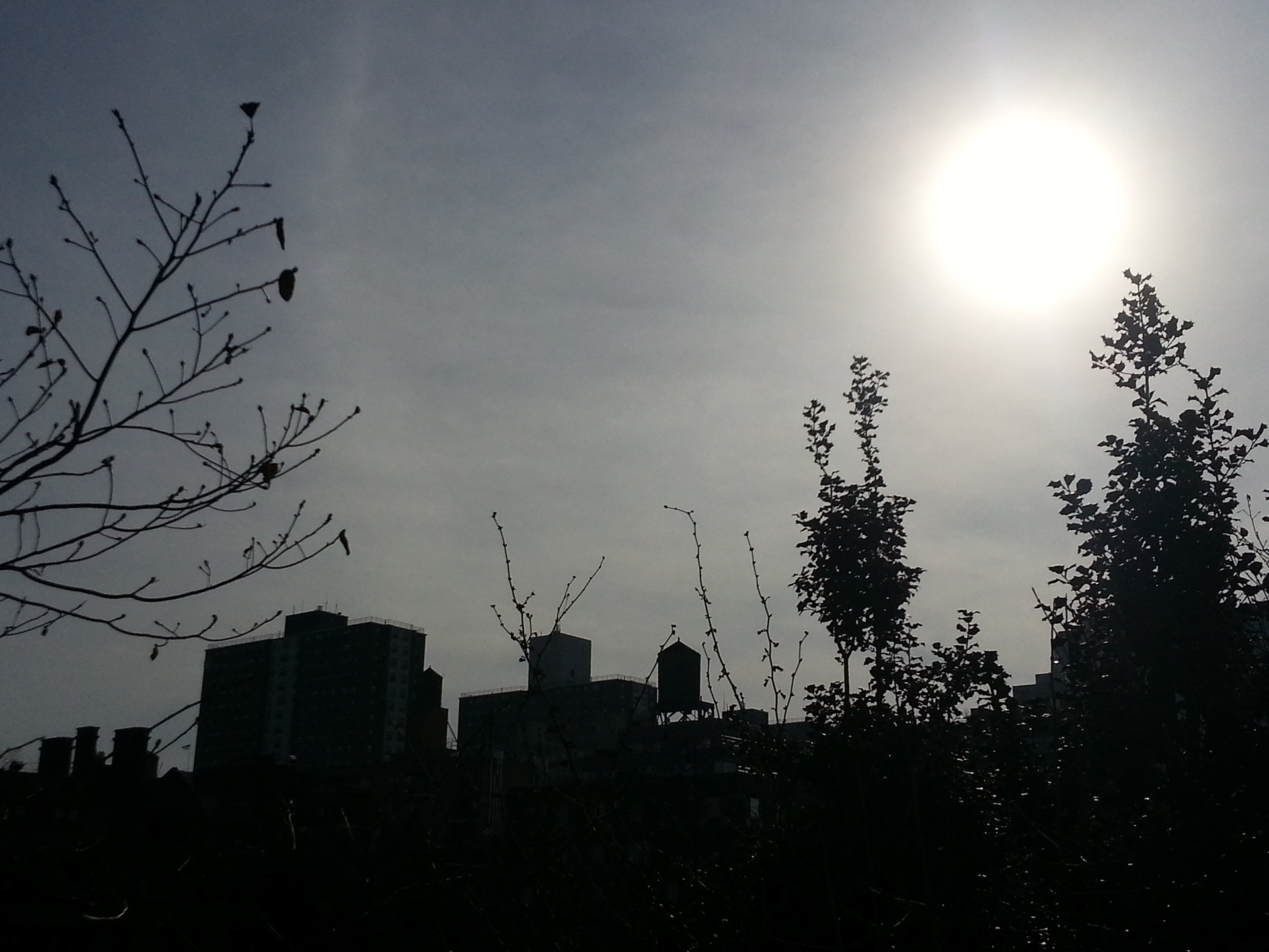 Winter Solstice 2013. The Circle is in the sky, and the Veil is thin.