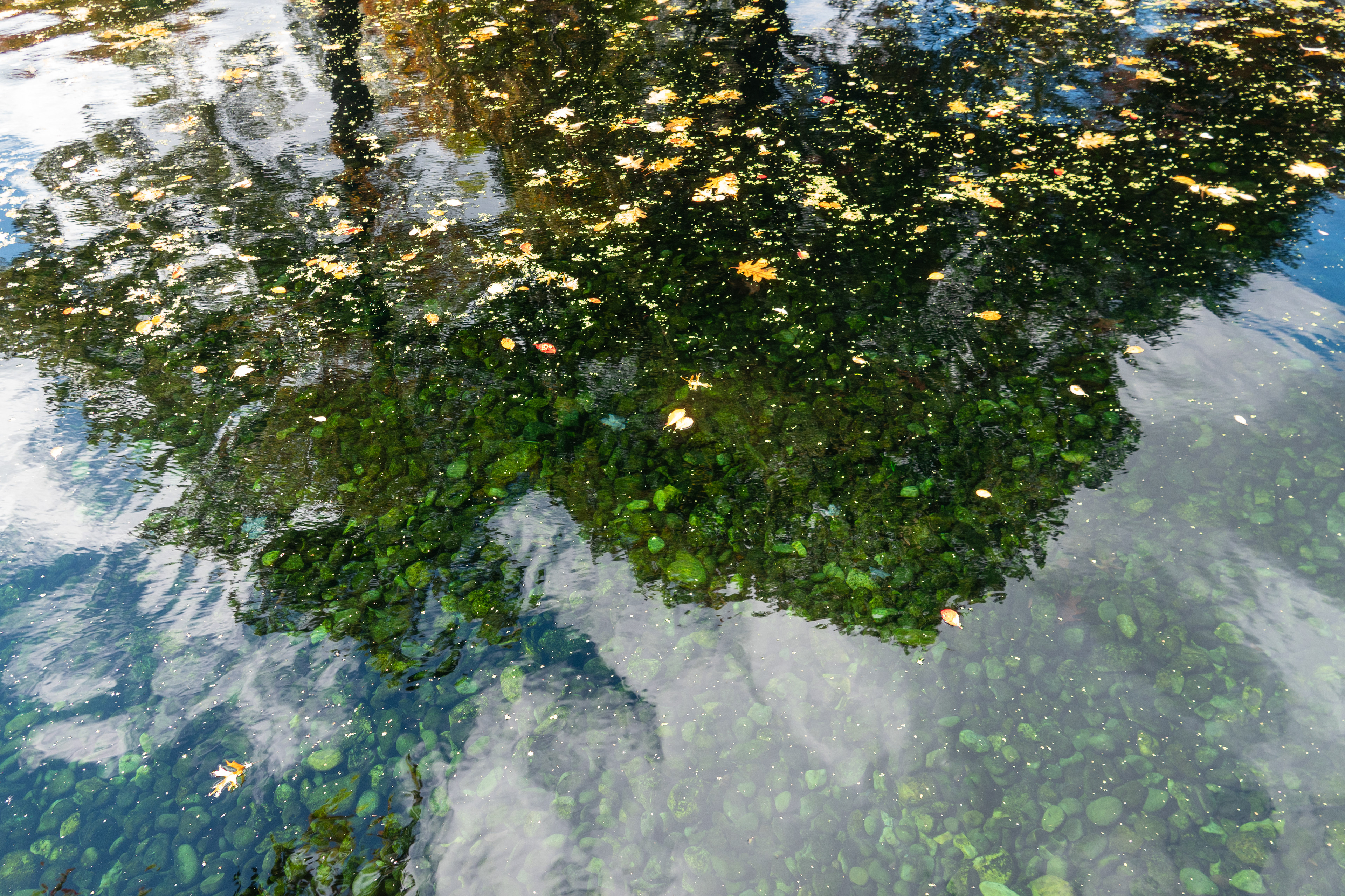 Autumn reflections
