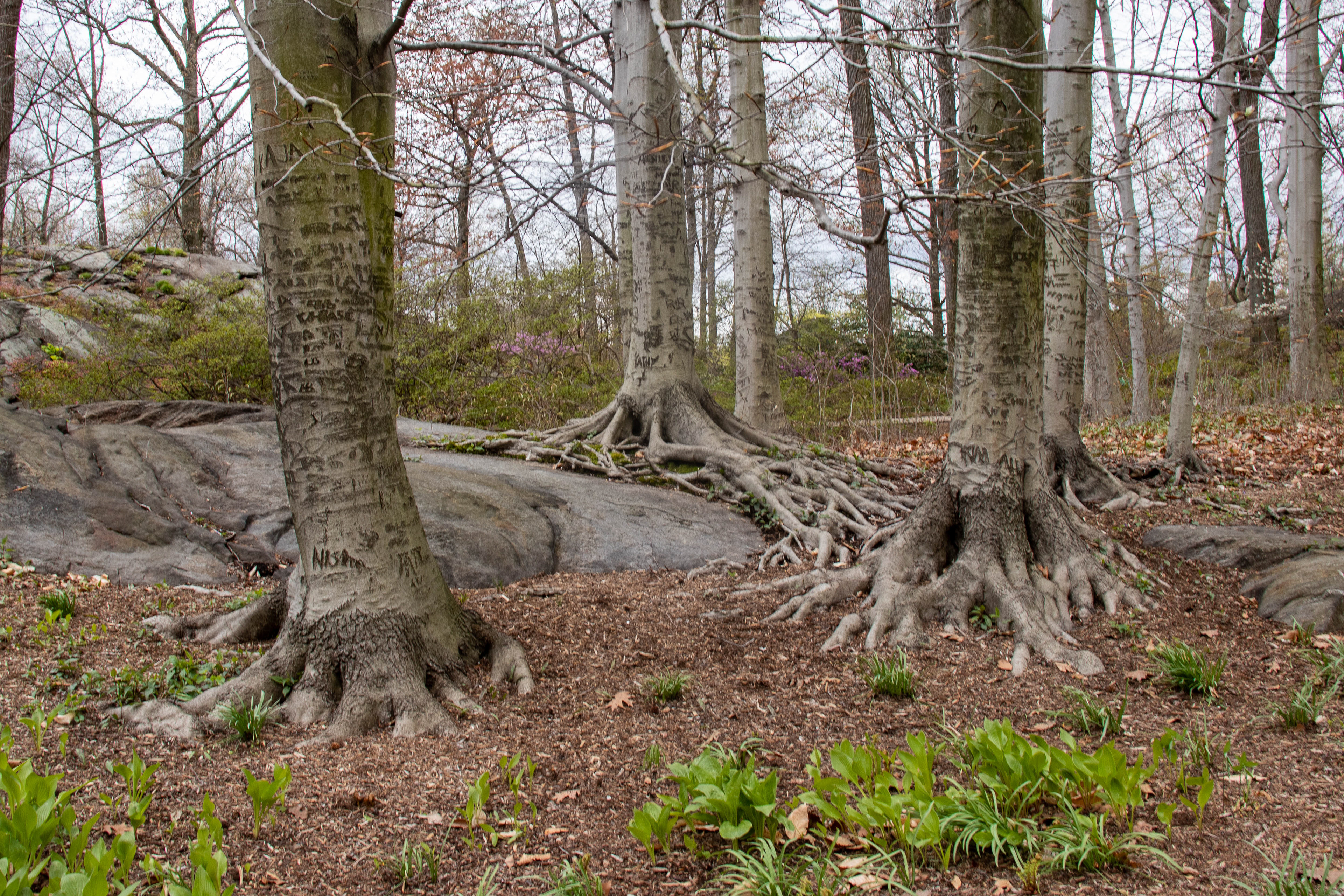 And still they persist