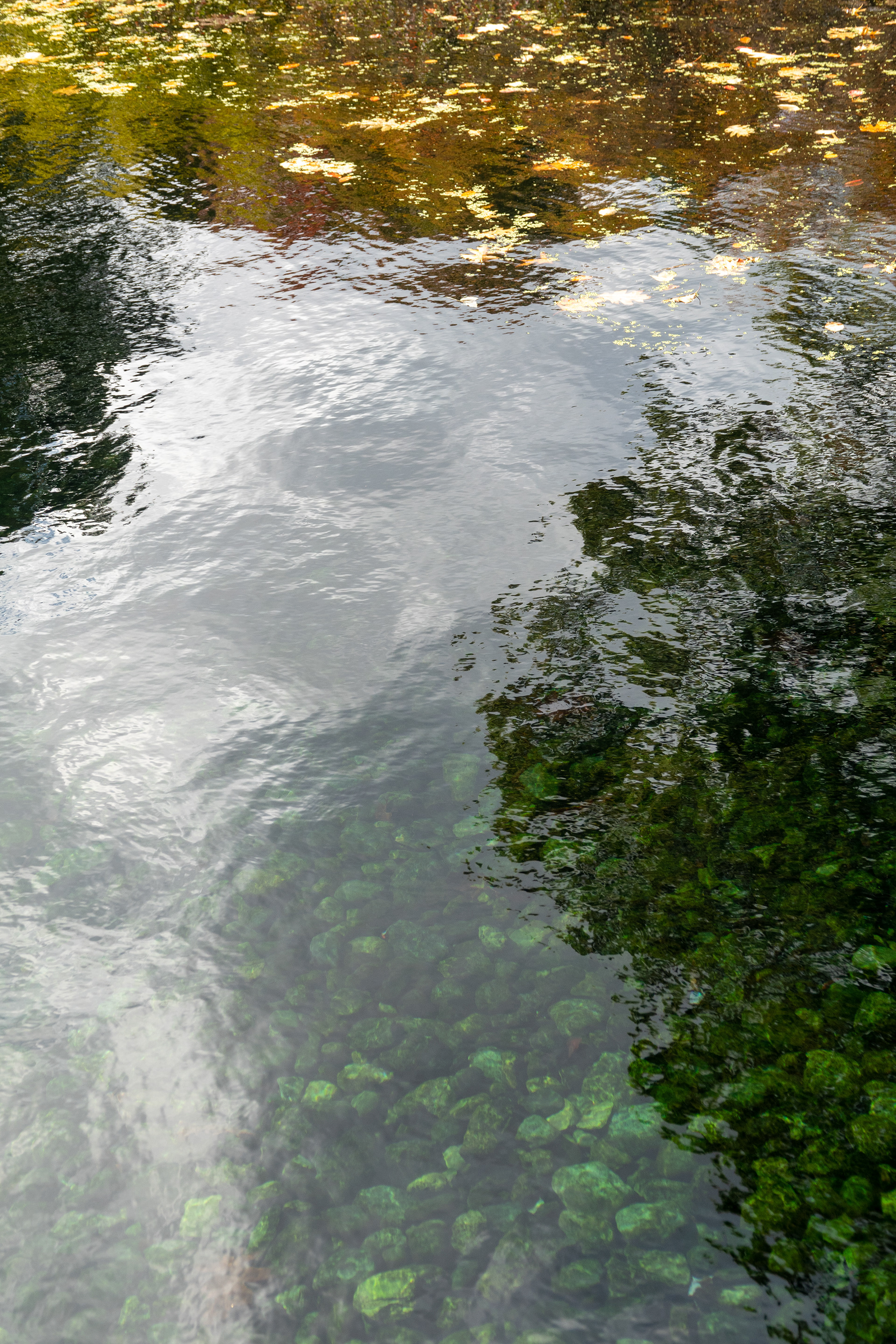 Autumn reflections #2