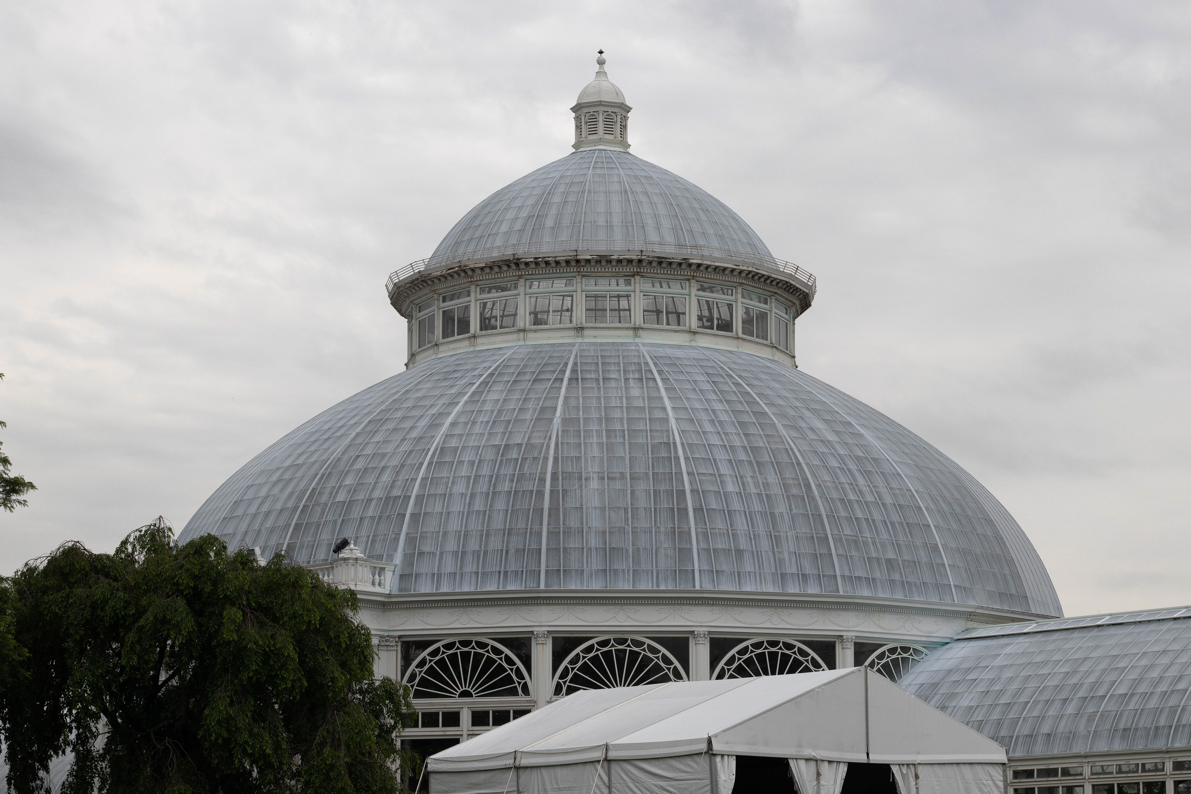 Grey light