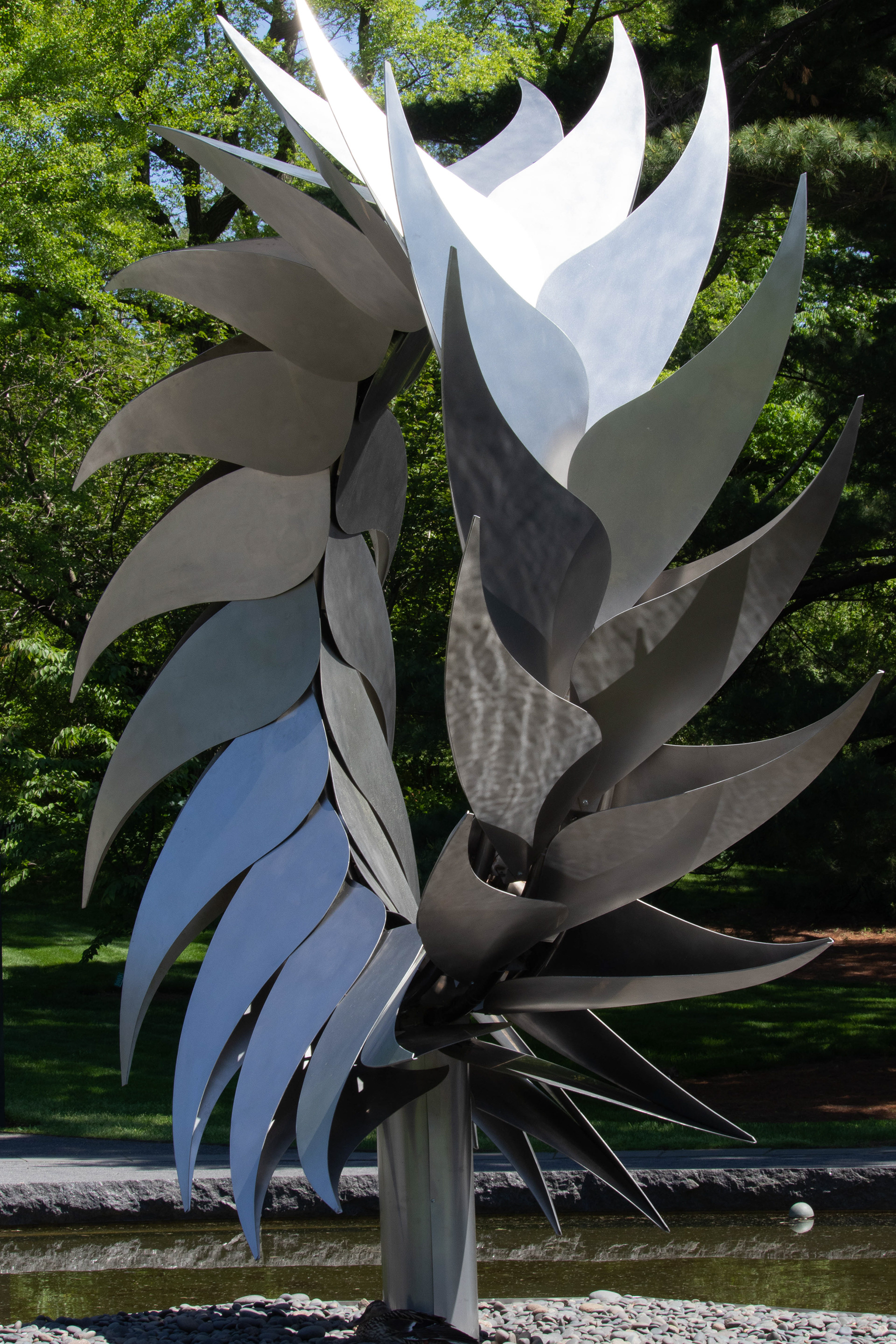 Reflections on Burle Marx