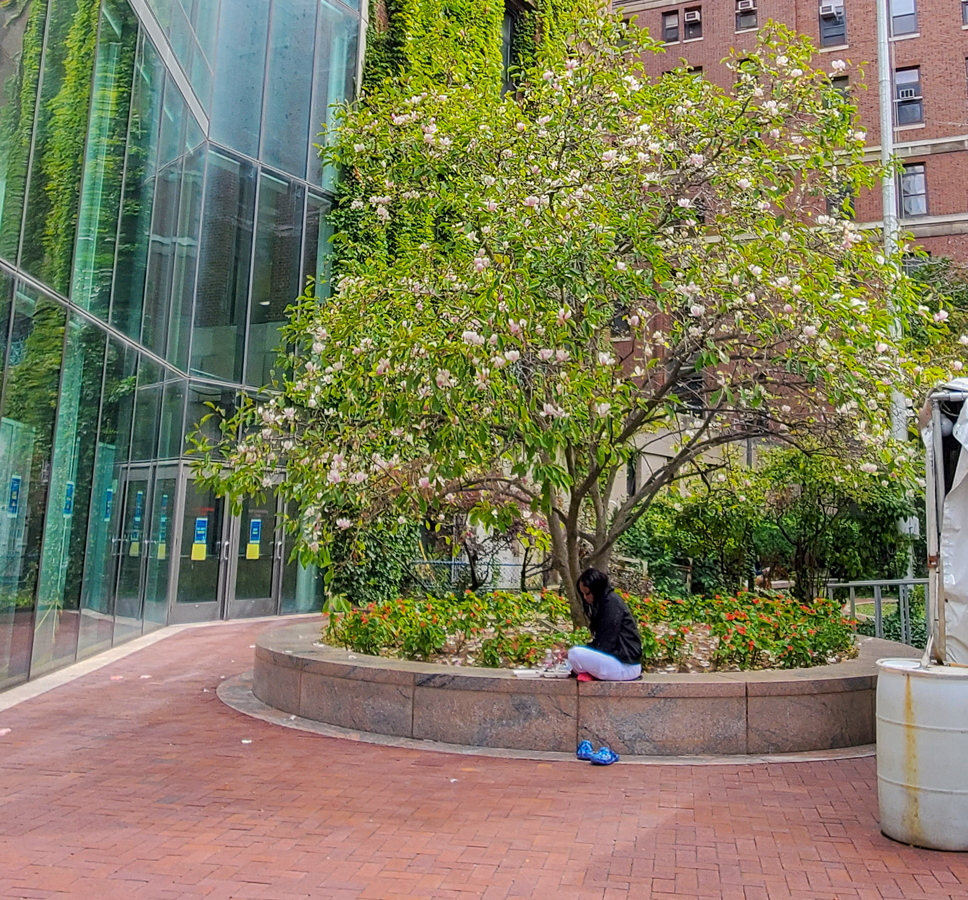 Small miracle, Bellevue, Sept. 30, 2022