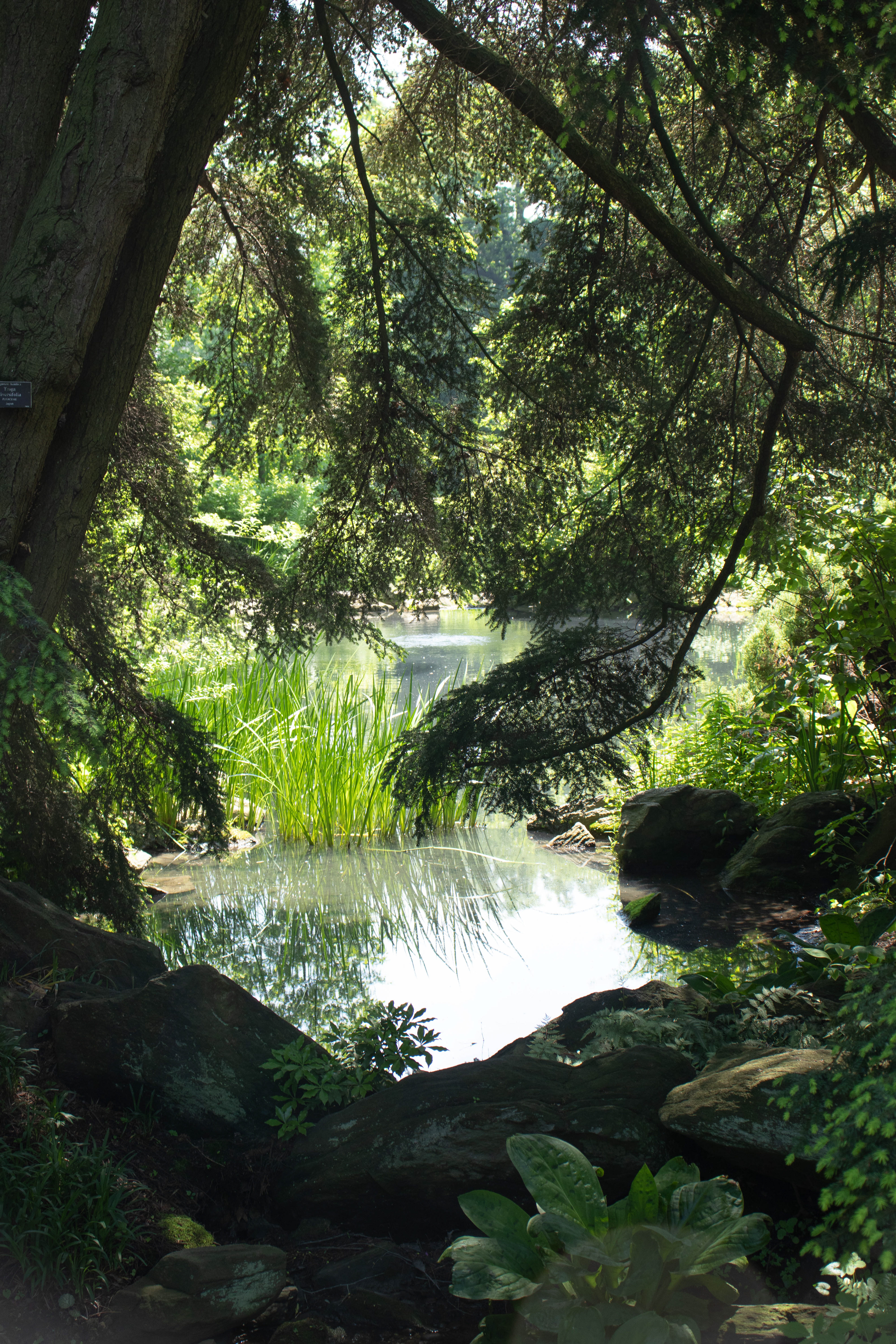 T.H. Everett's view