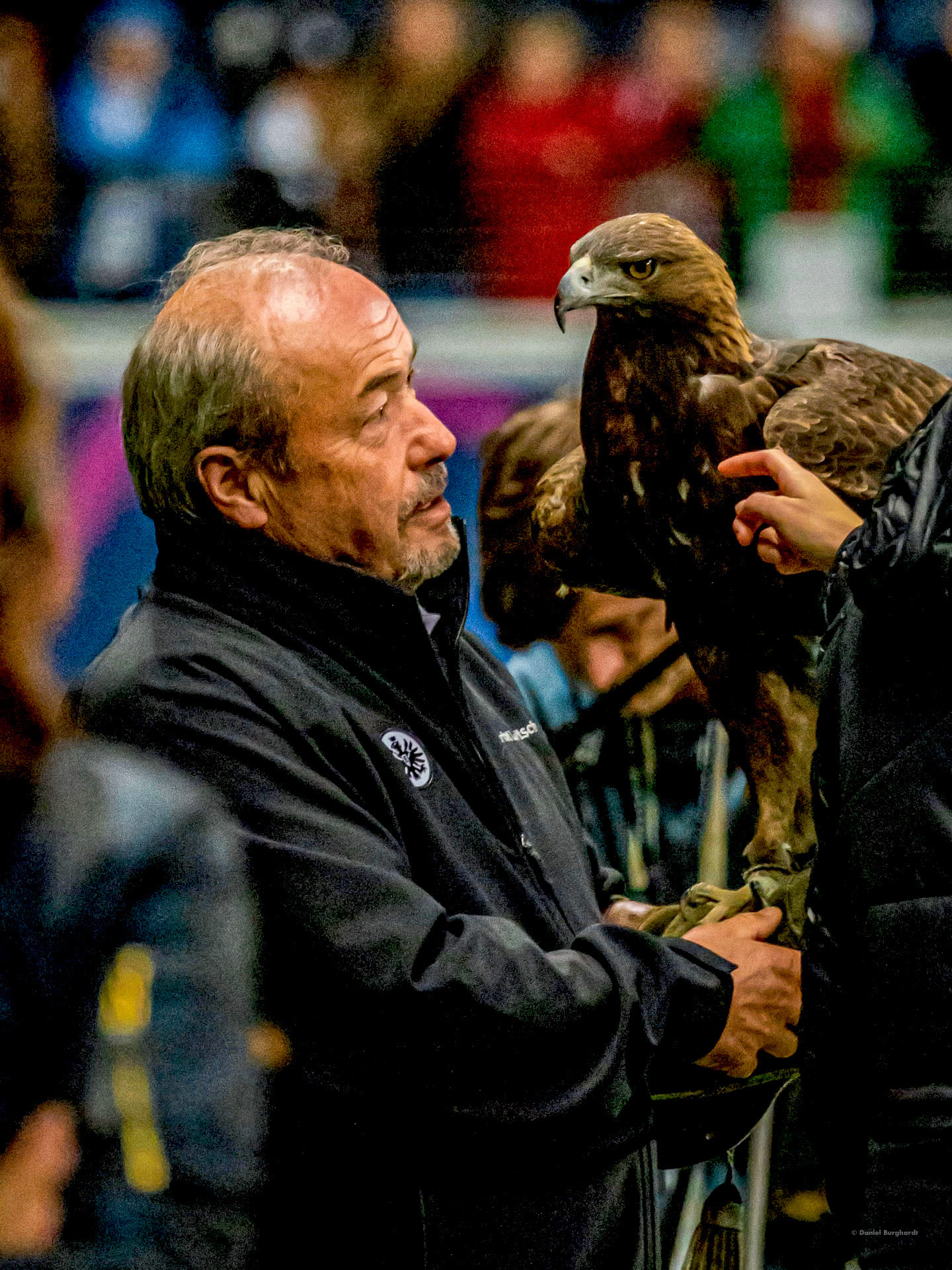 Eagle Attila, Eintracht Frankfurt