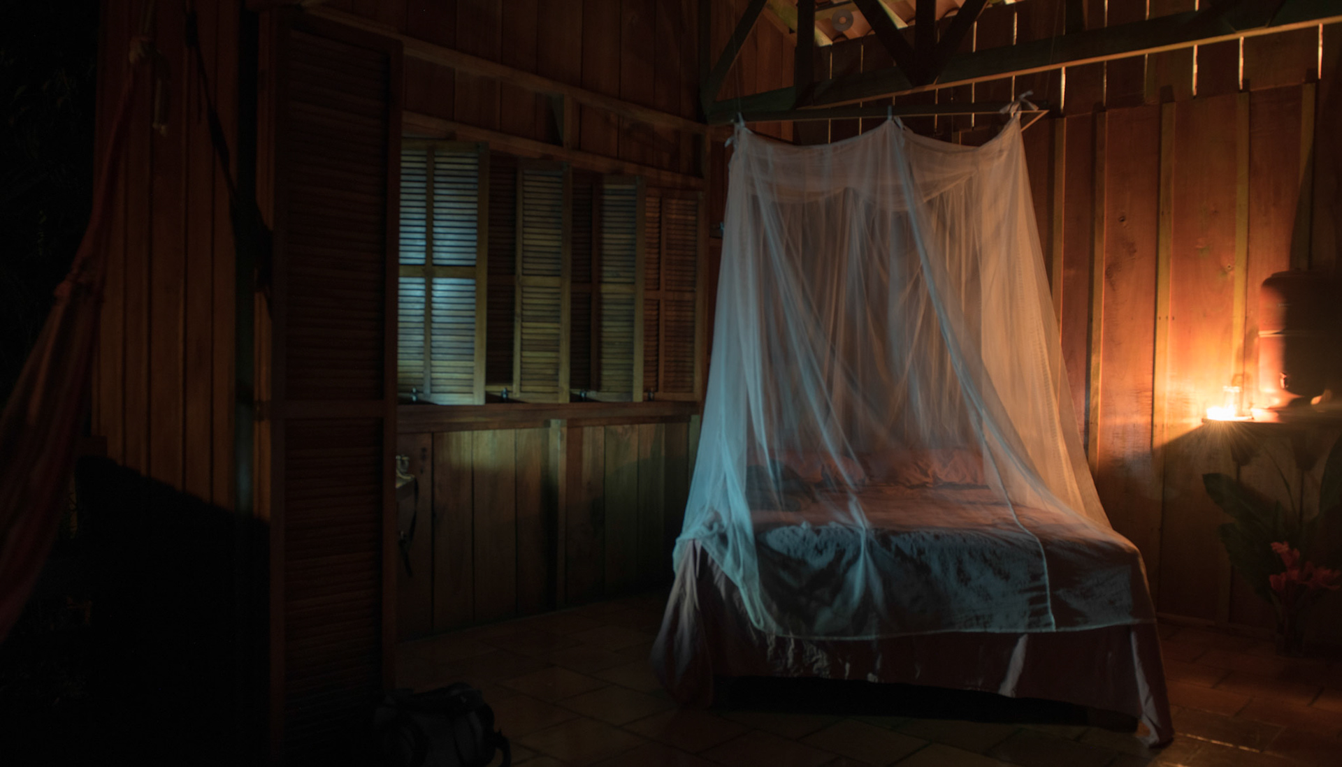 Eco Lodge Selva Bananito