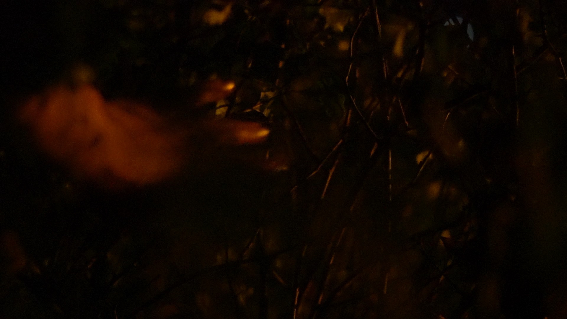 Two Poems: NO.1 - Cora Durmann