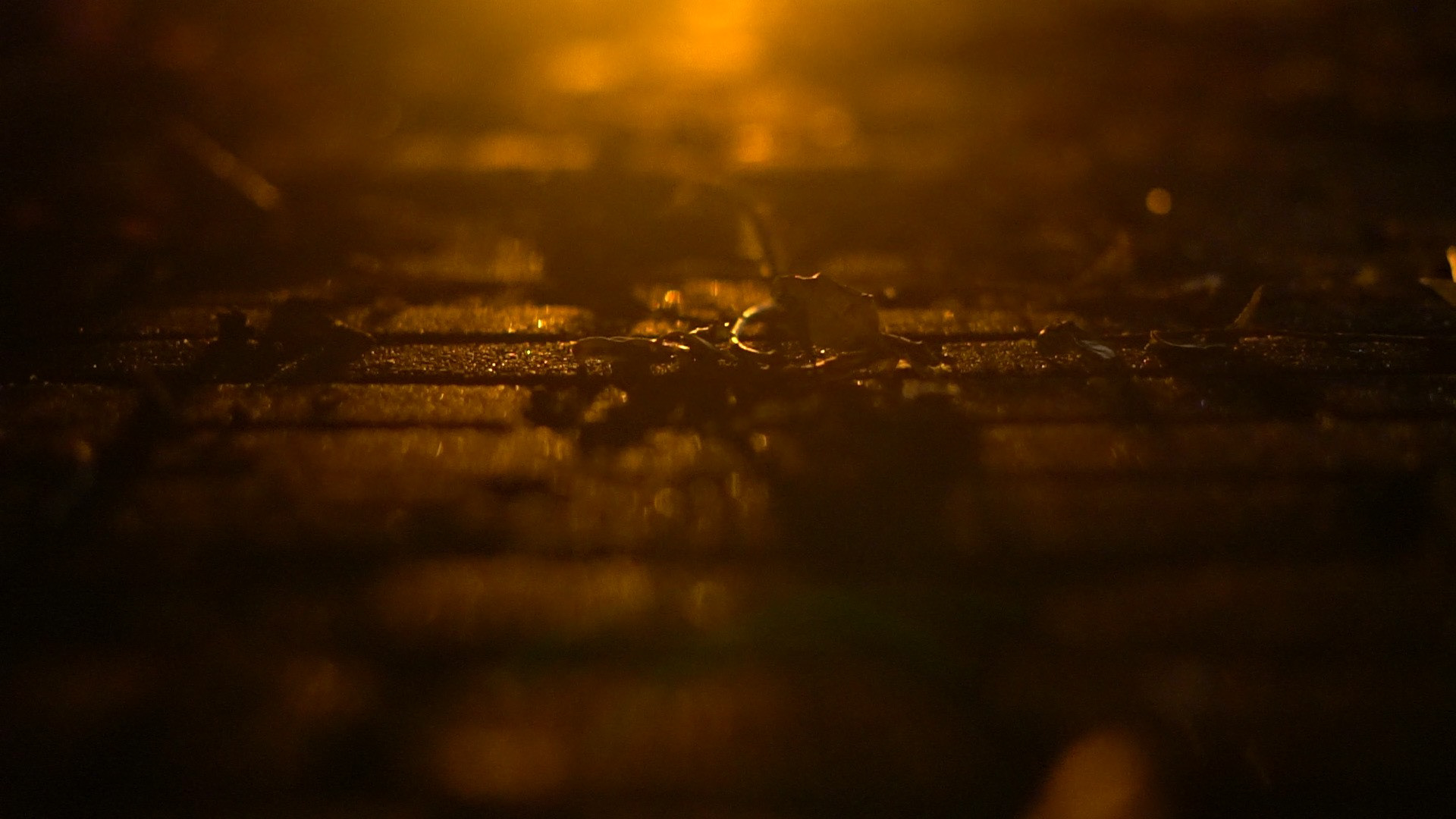 Two Poems: NO.1 - Cora Durmann