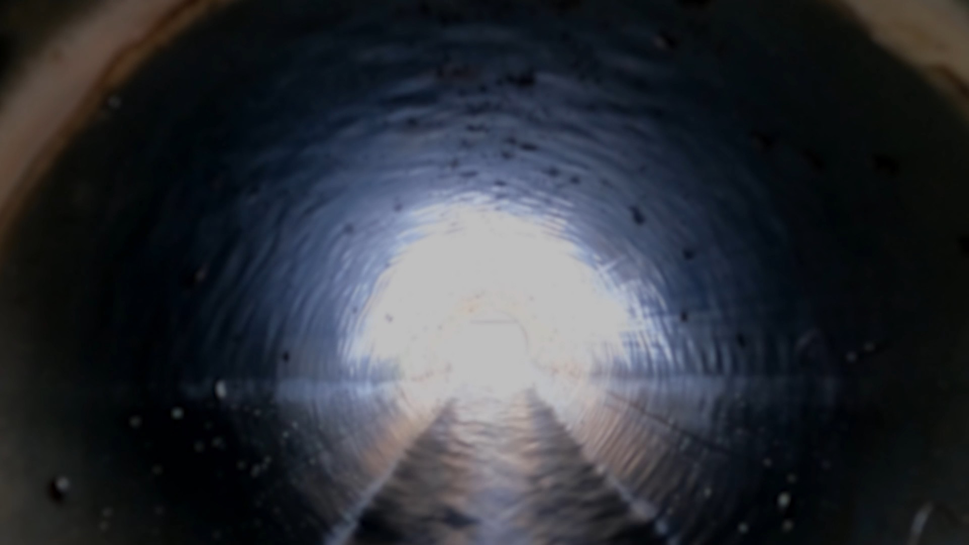 Metabolis - Cora Durmann