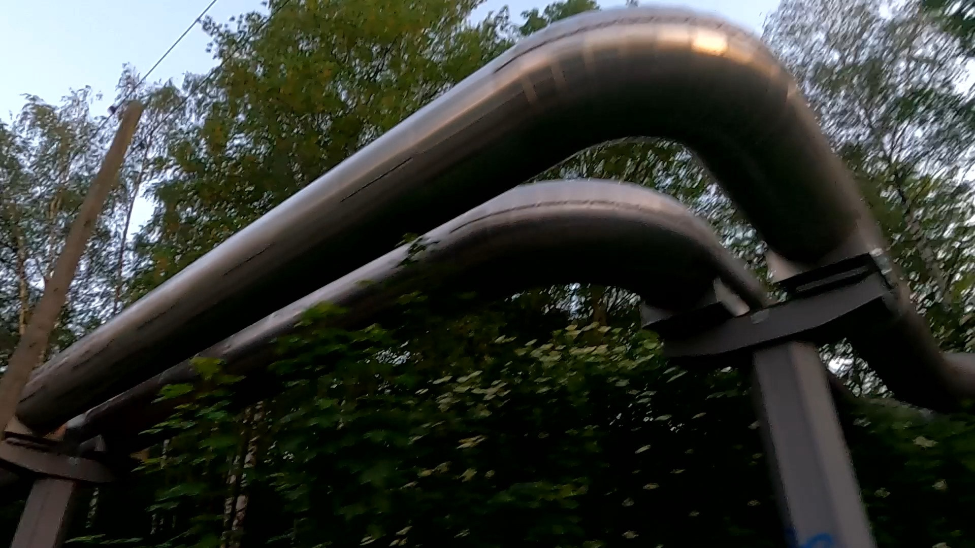 Metabolis Cora Durmann