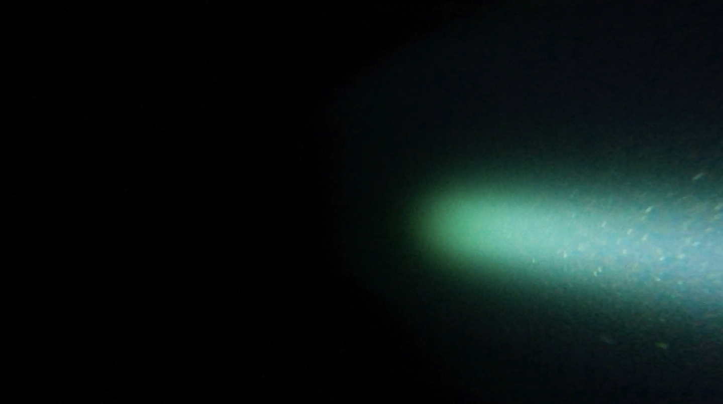 Two Poems: NO.2 - Cora Durmann