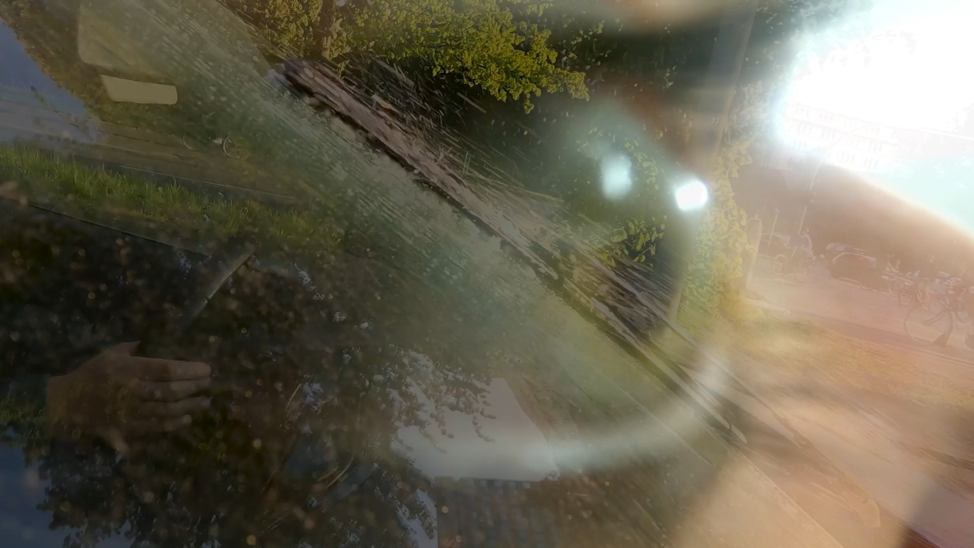 Metabolis - Cora Durmann