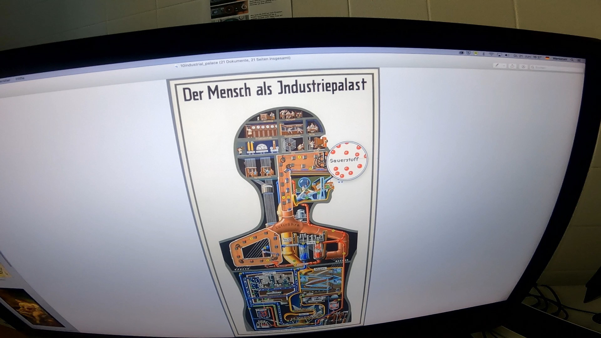 Metabolis - Cora Durmann