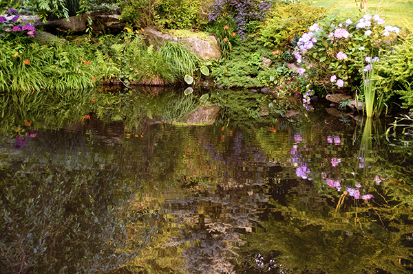 Simon Sobo - Pond reflection