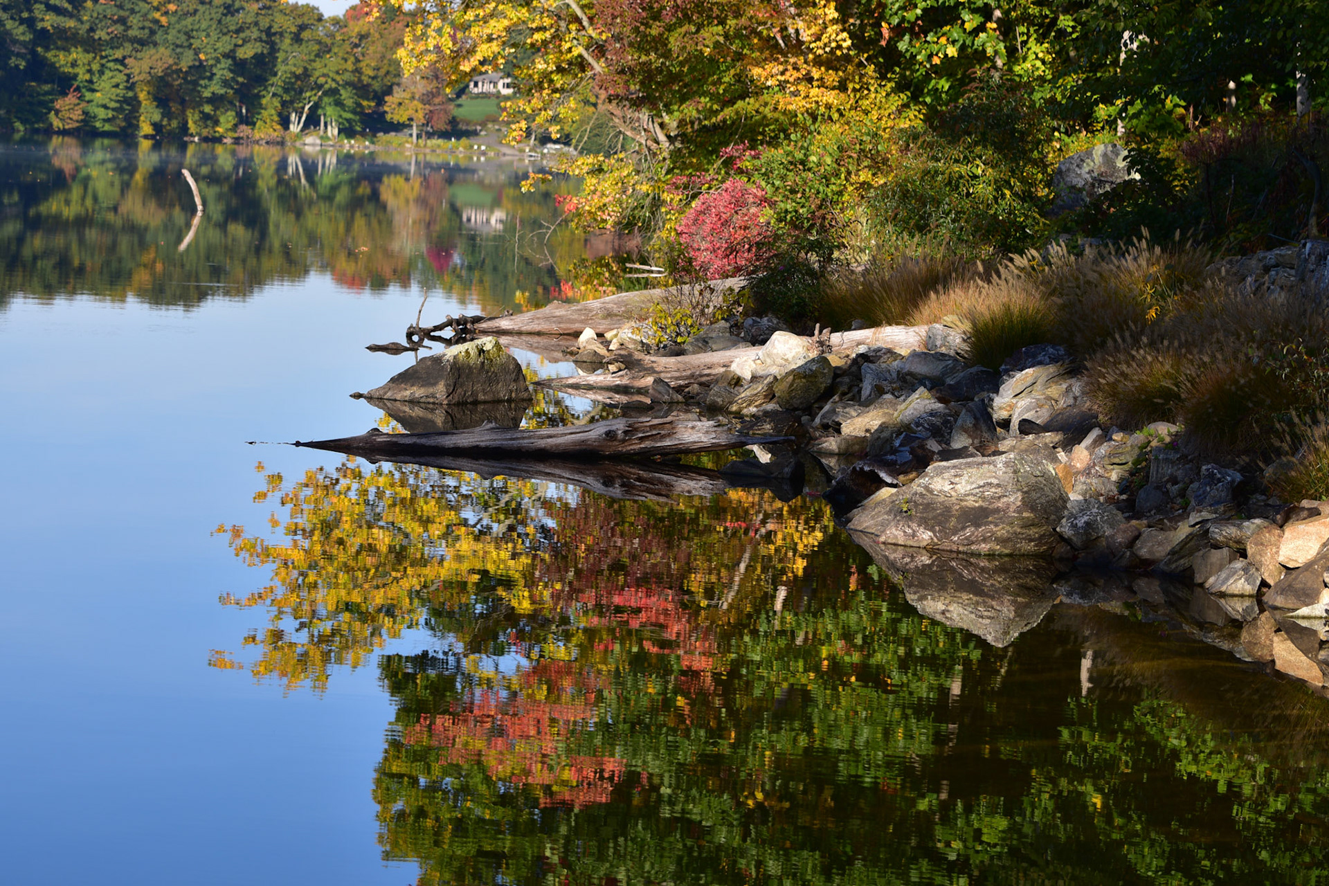 It is amazingly easily. Open the door. Walk down to the lake and there greeting me in the morning is this. Is it that it is always the same? Obviously not. Look at what the fall brings,