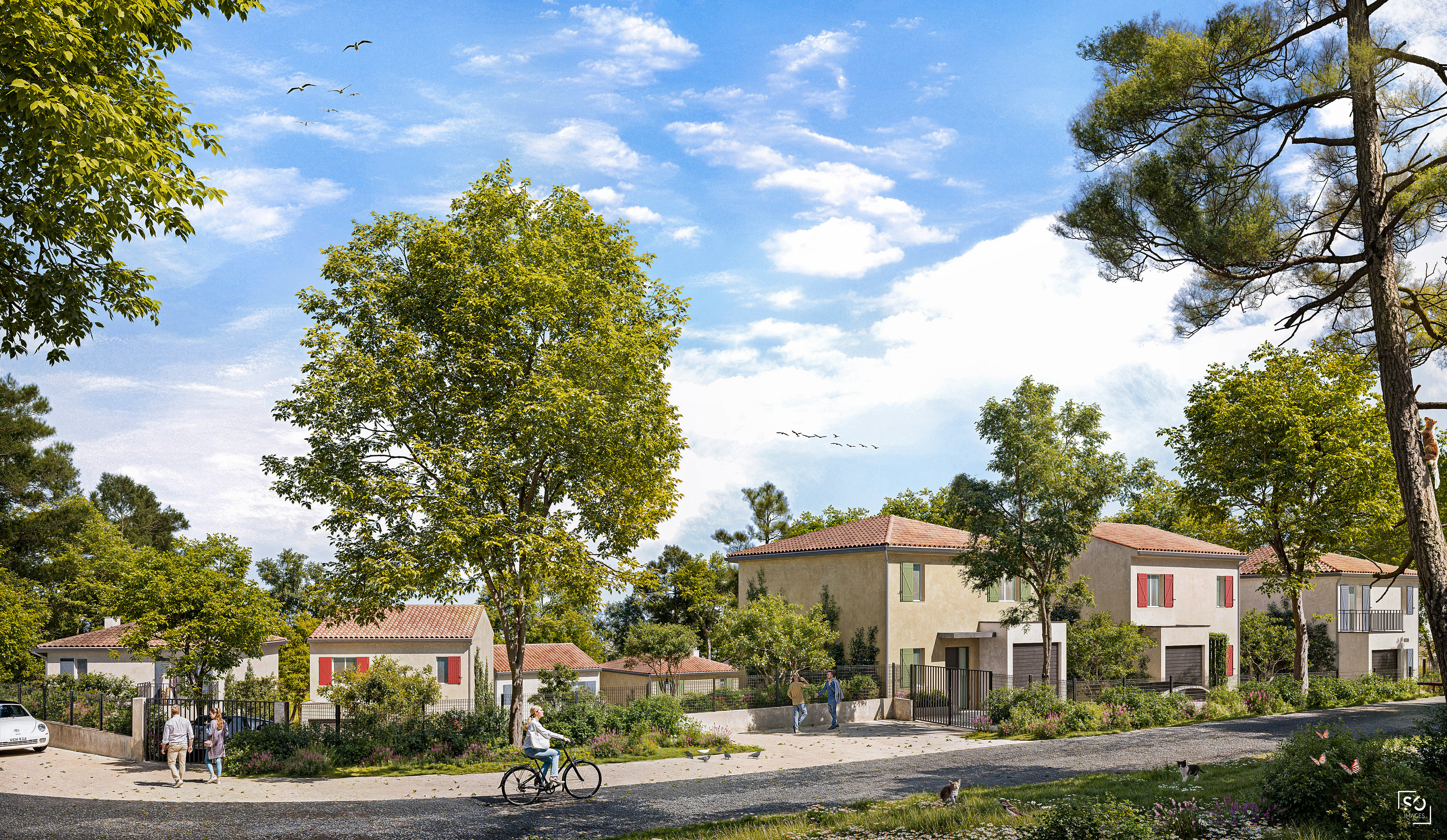 Projet logements Pierrevert - Will