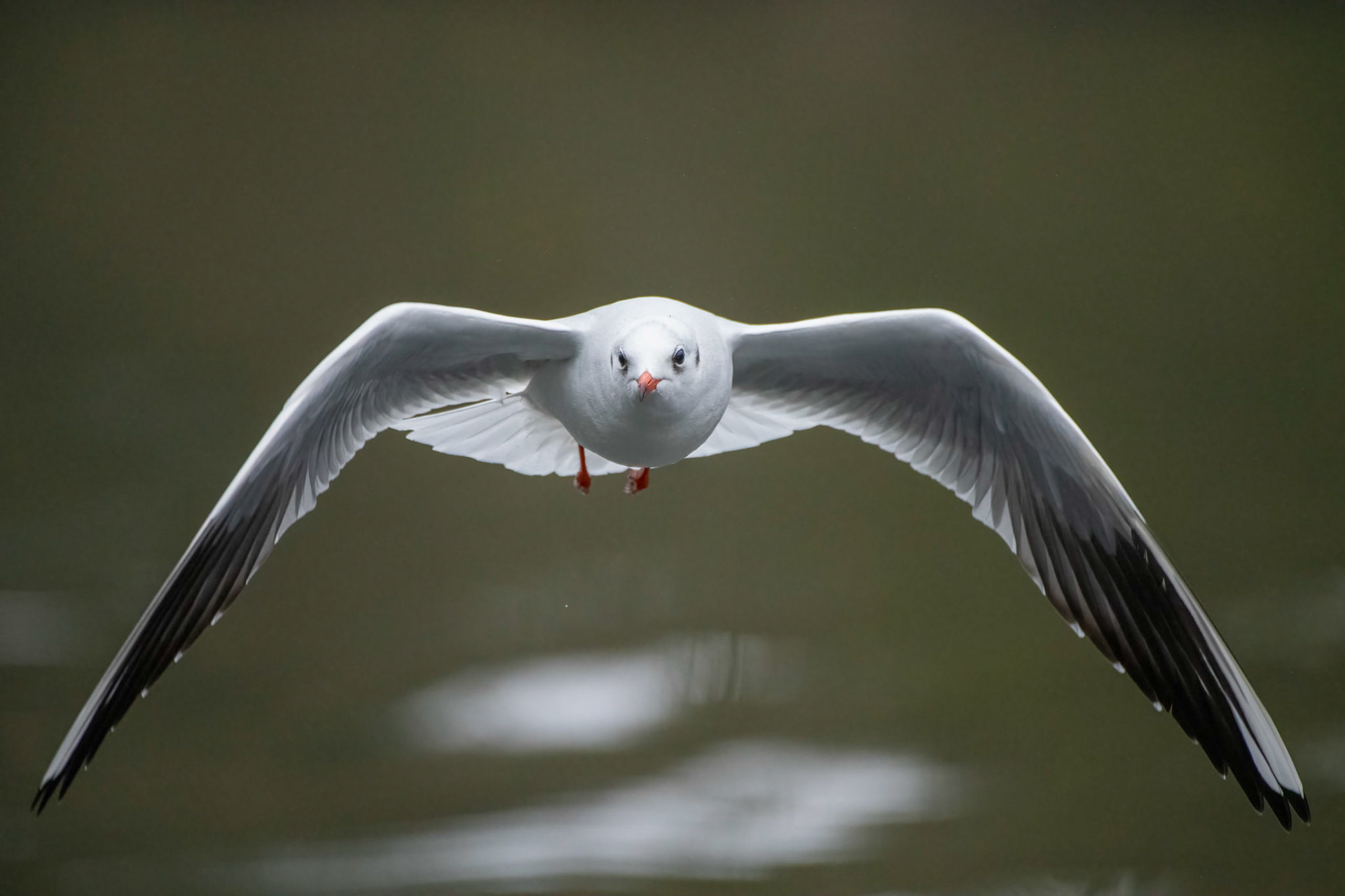 Patrolling the Norfolk Broads
