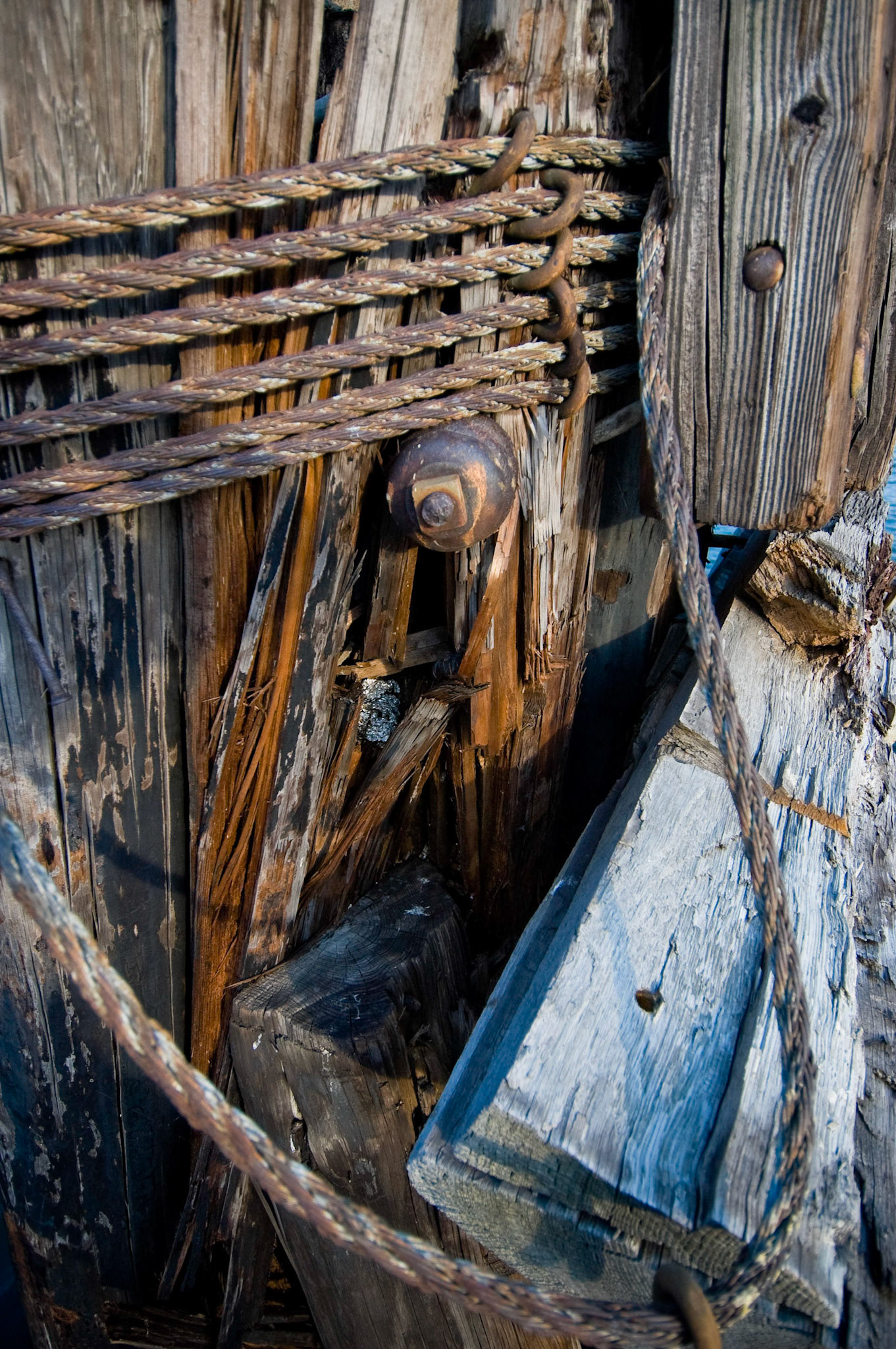 Detail study of dolphin piling cables and timbers