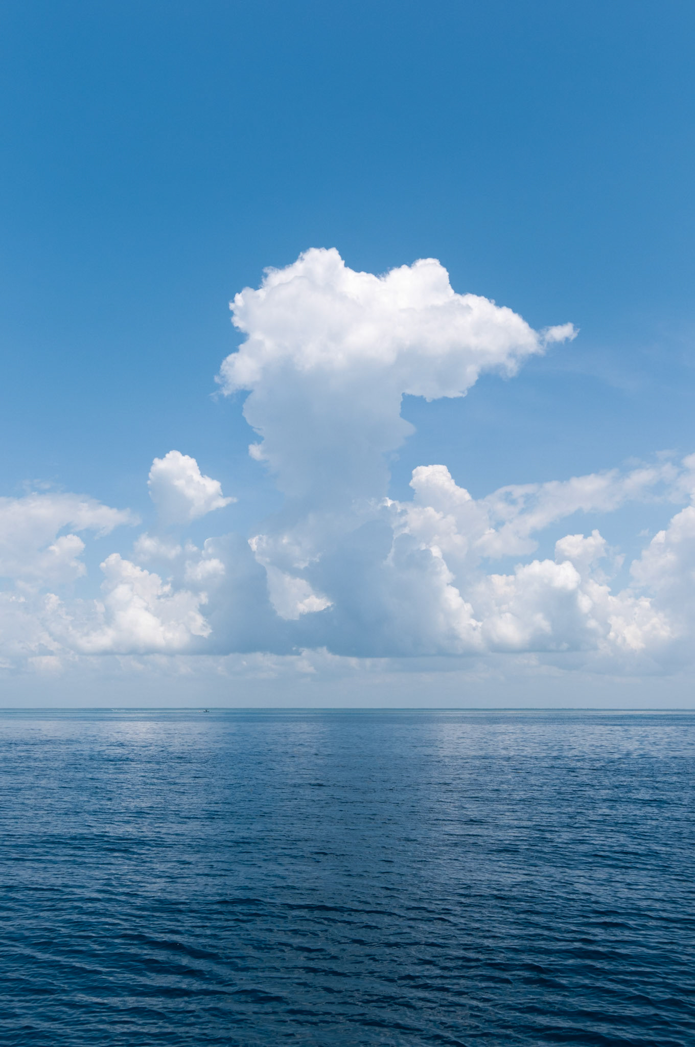 JUNE 8, 2014 - Atlantic Ocean, FL, USA - Onboard images taken during the delivery of S/V Raekved from the Florida Keys to Annapolis, MD. - IMAGE © 2014 Andy Herbick | www.andyherbickphotography.com - ALL RIGHTS RESERVED.