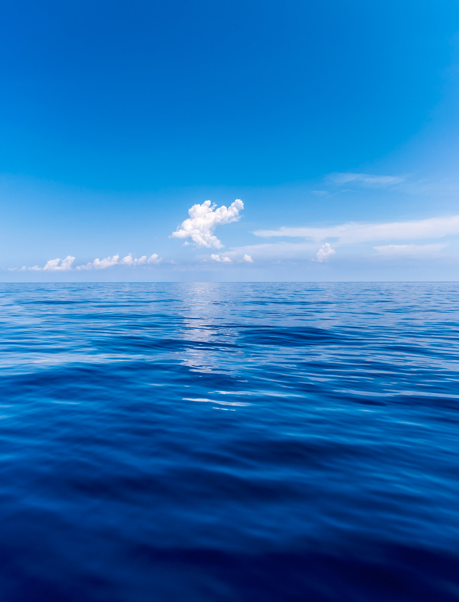 JUNE 9, 2014 - Atlantic Ocean, FL, USA - Onboard images taken during the delivery of S/V Raekved from the Florida Keys to Annapolis, MD. - IMAGE © 2014 Andy Herbick | www.andyherbickphotography.com - ALL RIGHTS RESERVED.
