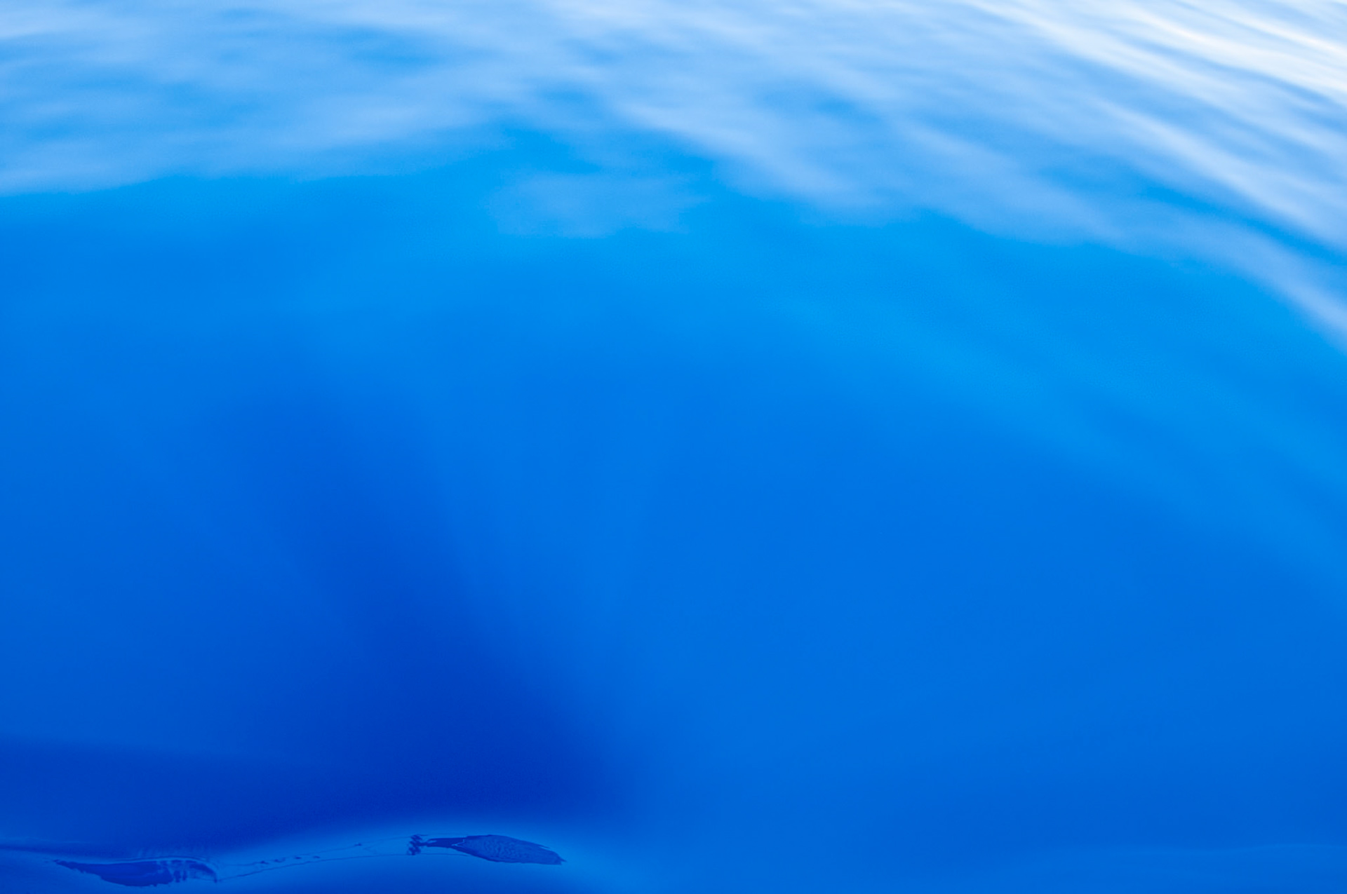 JUNE 9, 2014 - Atlantic Ocean, FL, USA - Onboard images taken during the delivery of S/V Raekved from the Florida Keys to Annapolis, MD. - IMAGE © 2014 Andy Herbick | www.andyherbickphotography.com - ALL RIGHTS RESERVED.