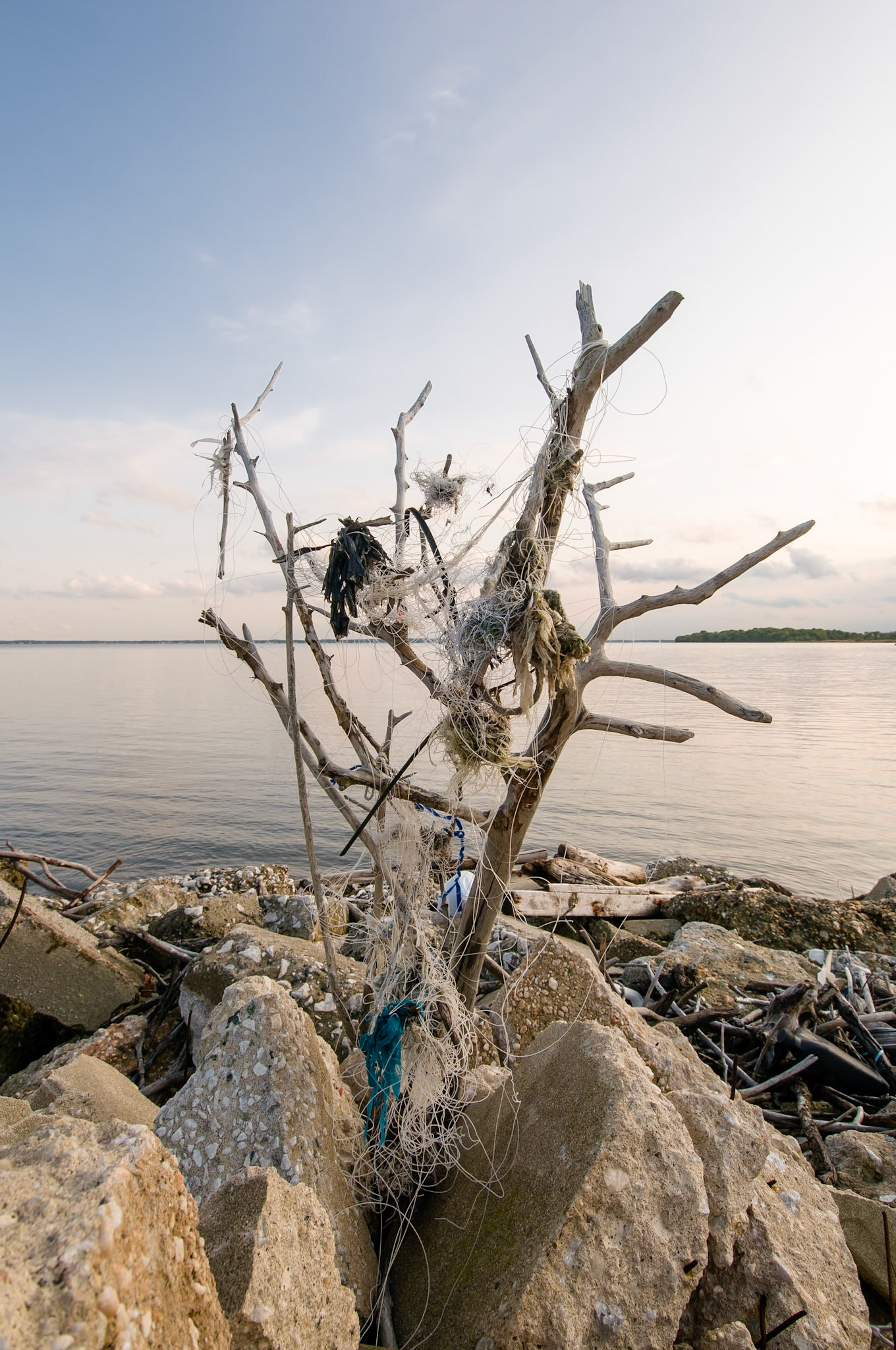 MAY 20, 2008 - BALTIMORE, MD, USA - . - IMAGE © 2008 ANDY HERBICK | www.andyherbickphotography.com - ALL RIGHTS RESERVED.