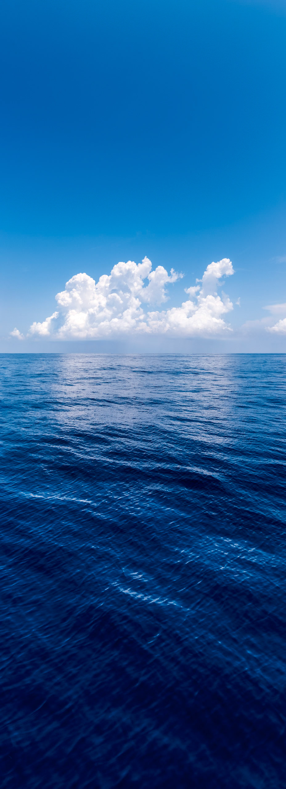 JUNE 9, 2014 - Atlantic Ocean, FL, USA - Onboard images taken during the delivery of S/V Raekved from the Florida Keys to Annapolis, MD. - IMAGE © 2014 Andy Herbick | www.andyherbickphotography.com - ALL RIGHTS RESERVED.