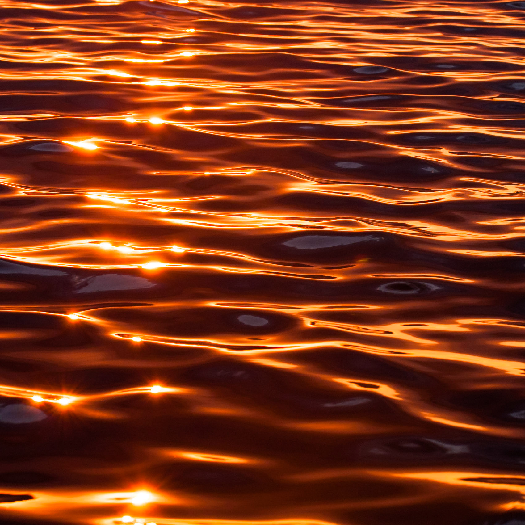 waning rays of golden orange sunlight dance on the ripples of the Middle Branch after the passing of a summer evening storm