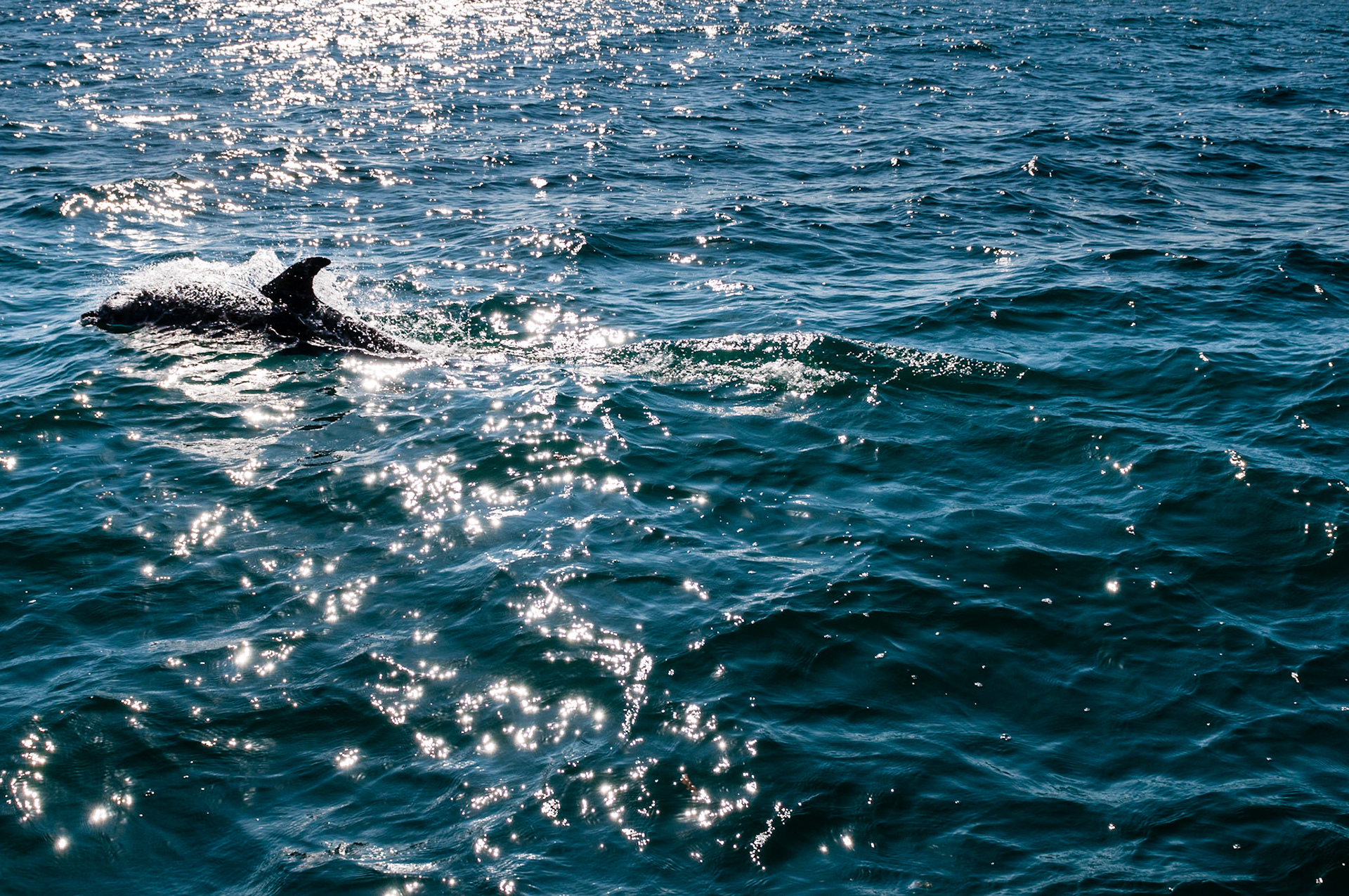 - Down the FL Coast - , FL - 2013