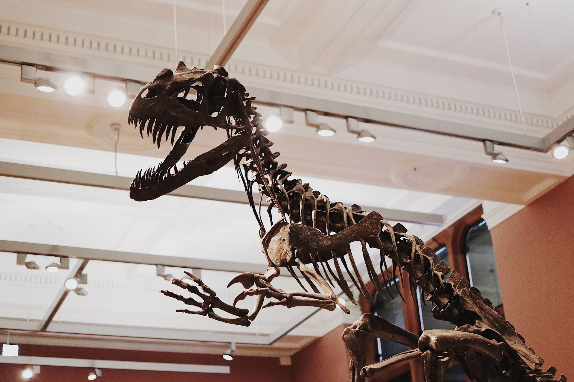 Kelvingrove Art Gallery & Museum, Scotland.
