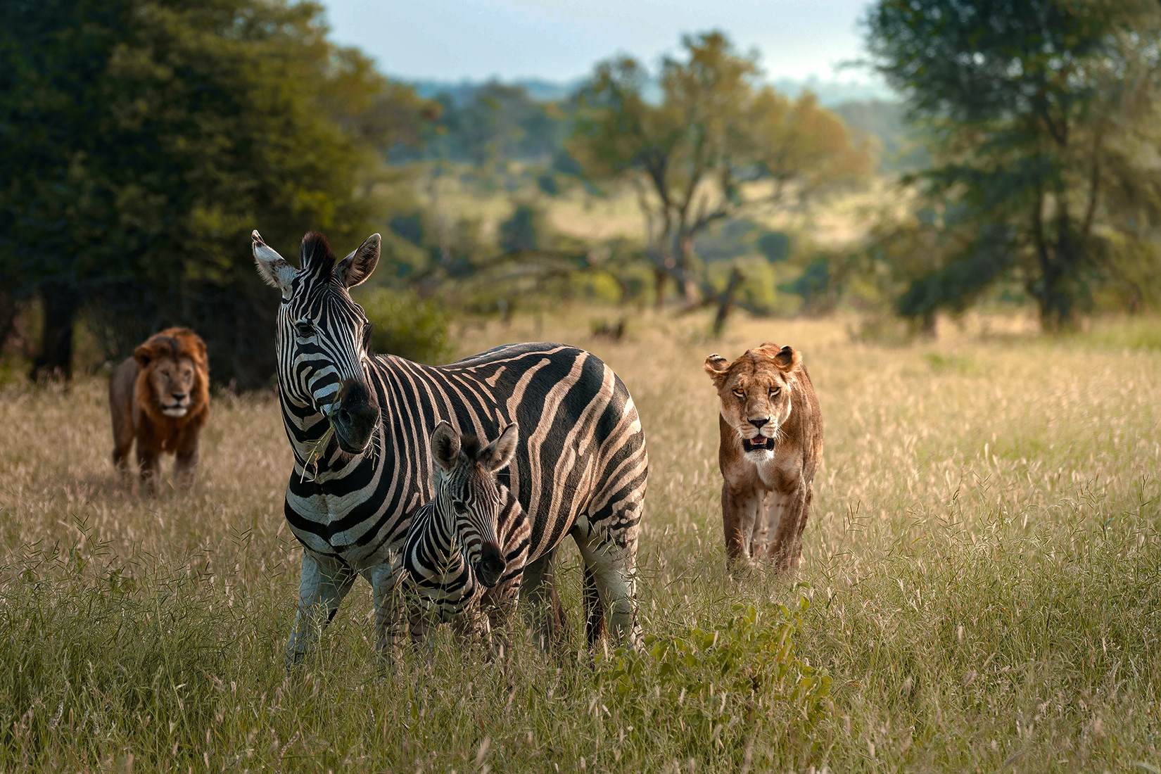 Enhance the golden lighting and add dramatic depth of field with cinematic lighting and soft shadows.