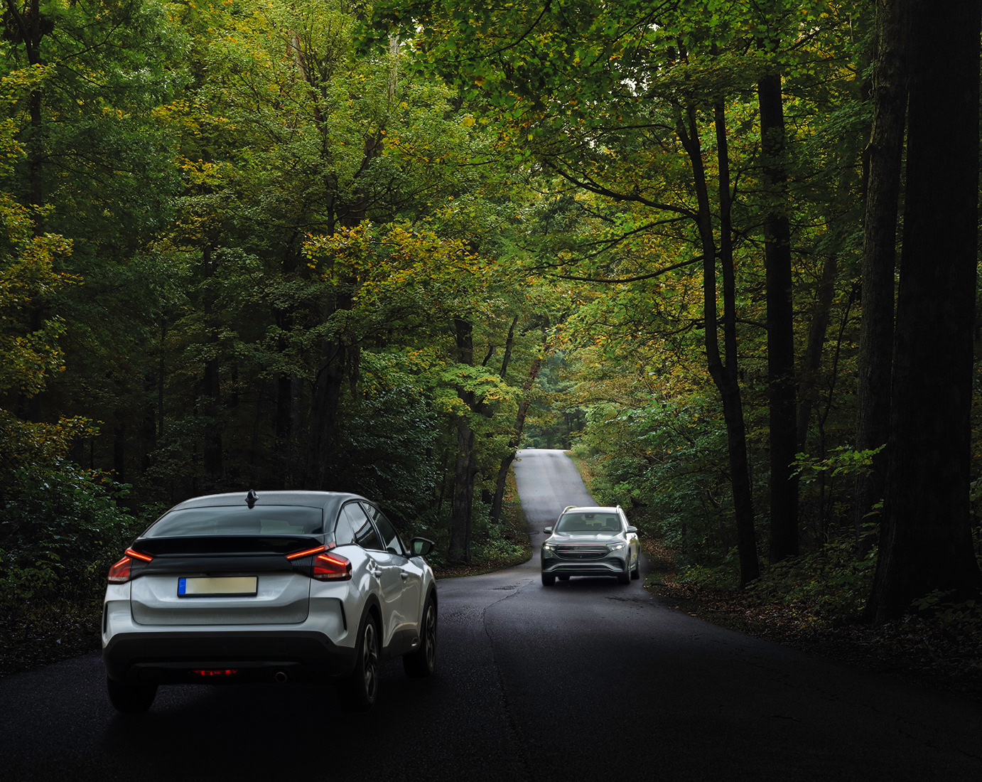 Add a second modern car driving in the opposite direction down the forest road.