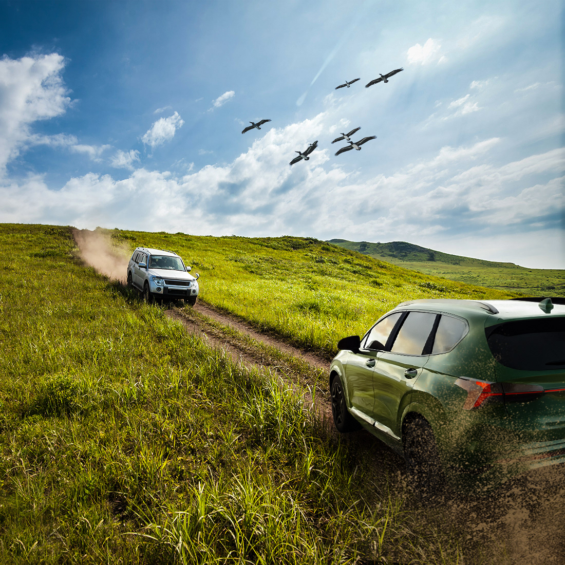 * Increase contrast and warm lighting across the entire scene for a more vivid, dramatic look.