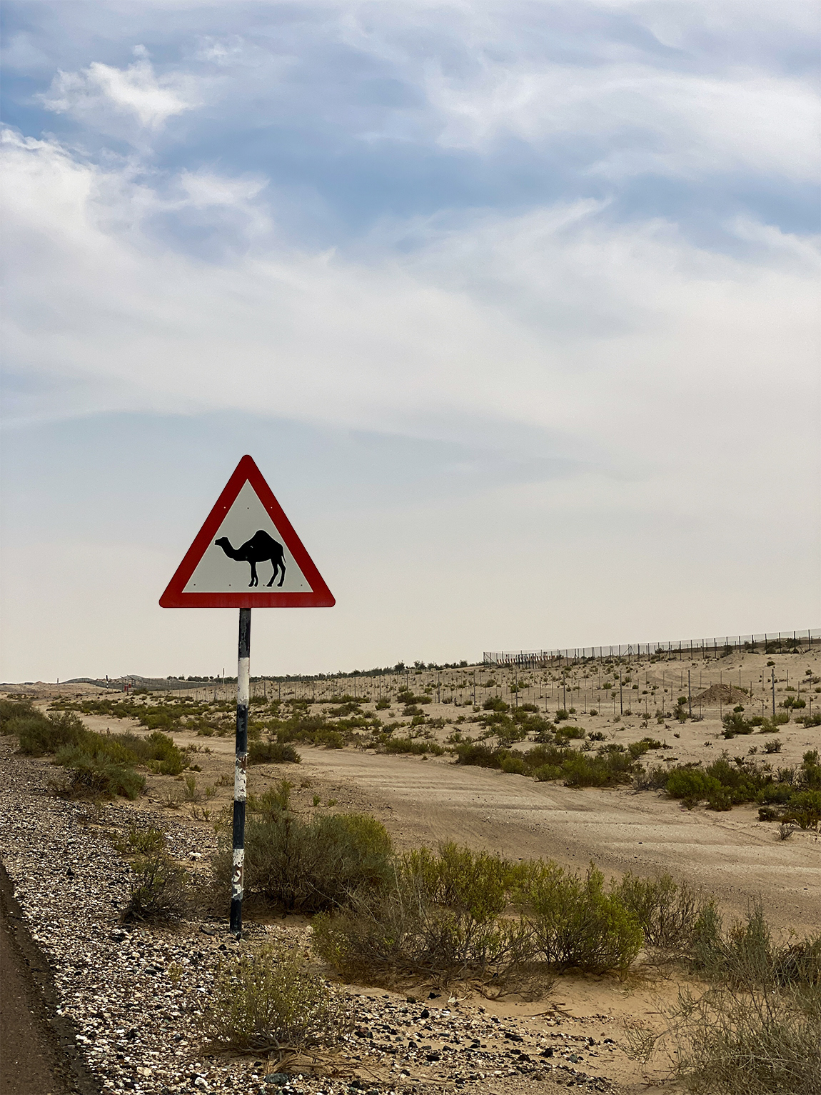 Add a triangular red warning road sign with a camel silhouette to the foreground roadside.