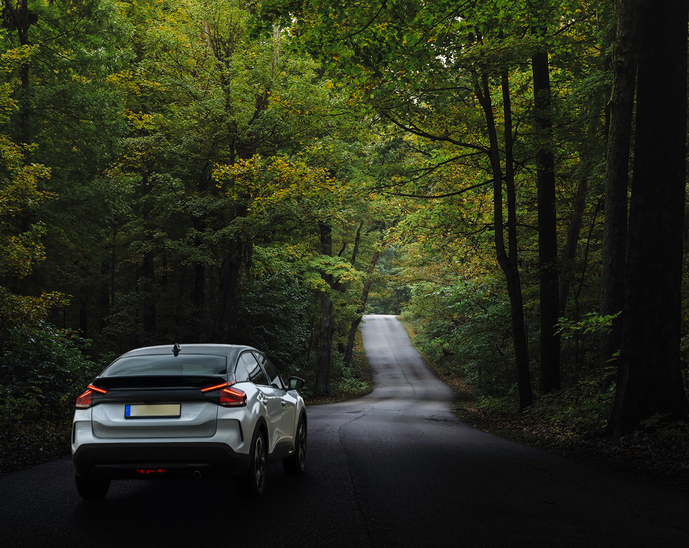 Add a silver crossover SUV driving on the left side of the forest road, facing away.
