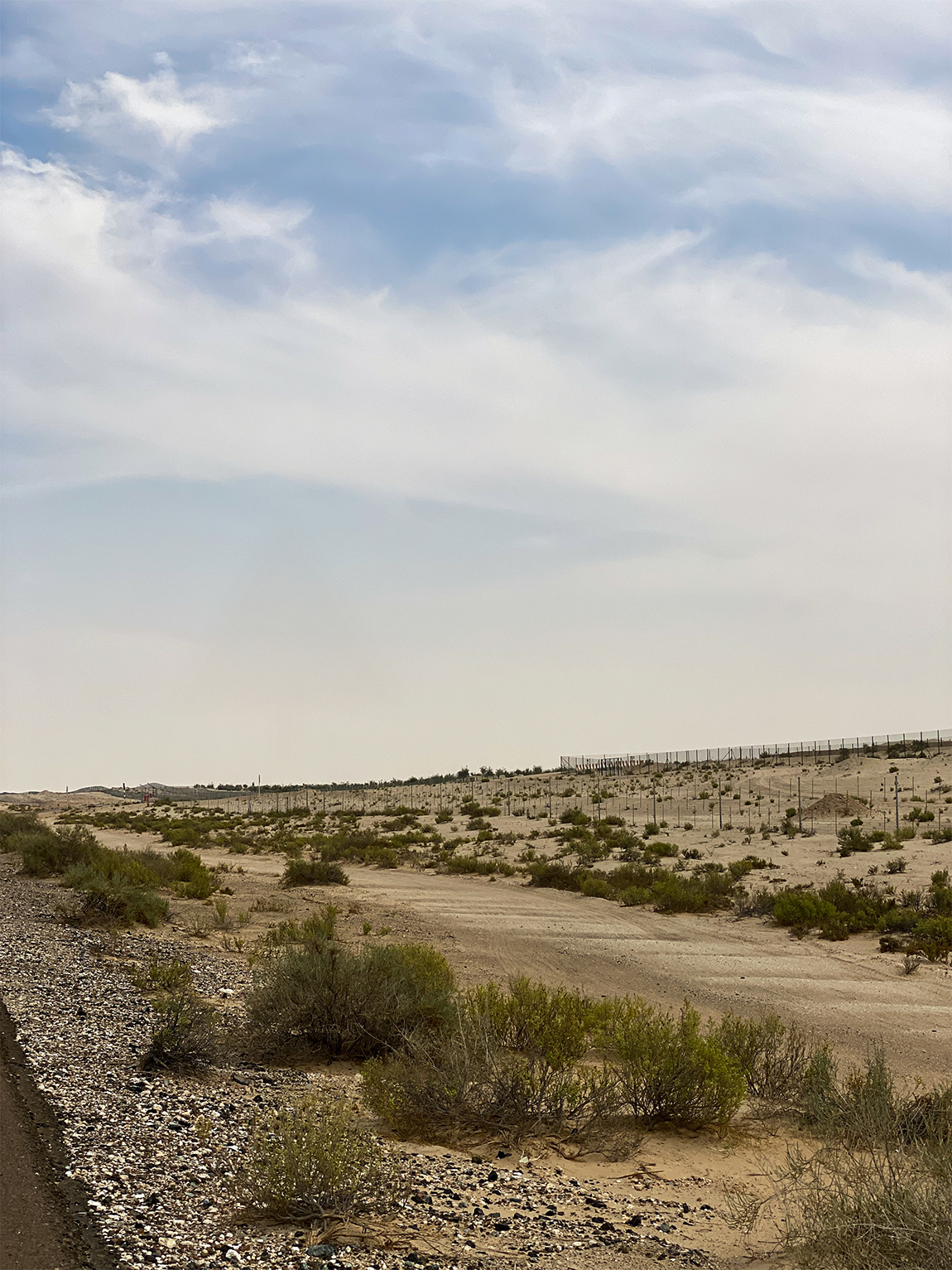 Empty desert roadside with sparse green scrub bushes, sandy terrain, fenced area, and cloudy sky.