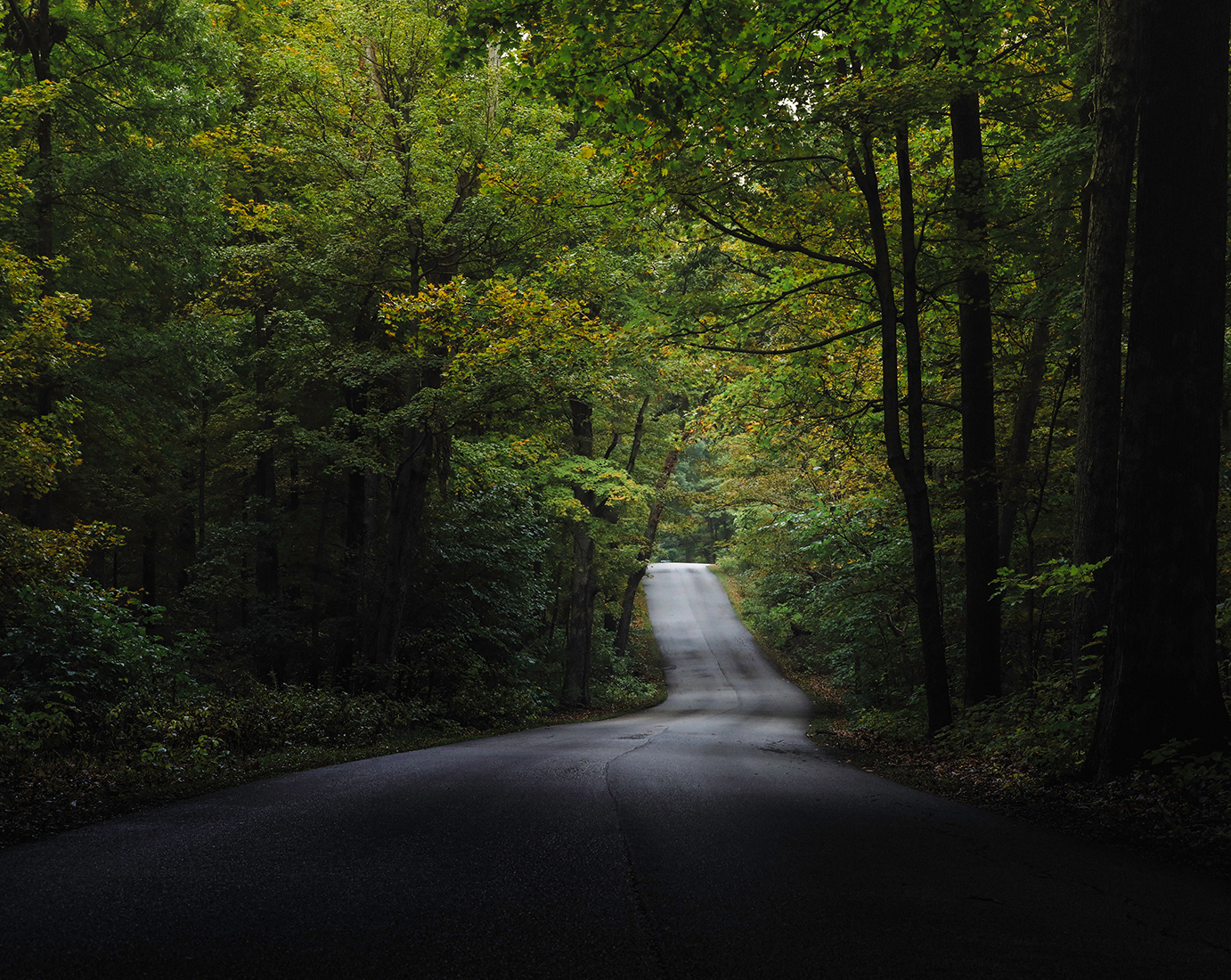 Empty, narrow paved road winding through a dense green forest, foggy background.