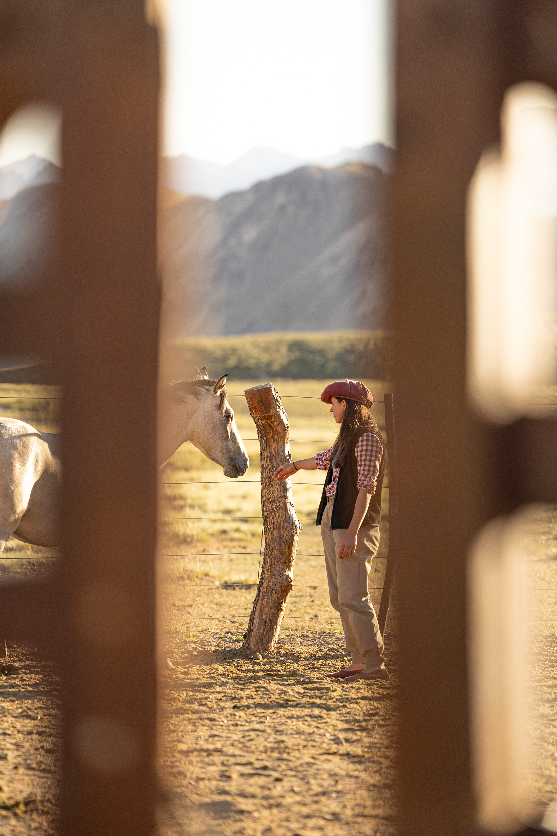 Construyendo confianza