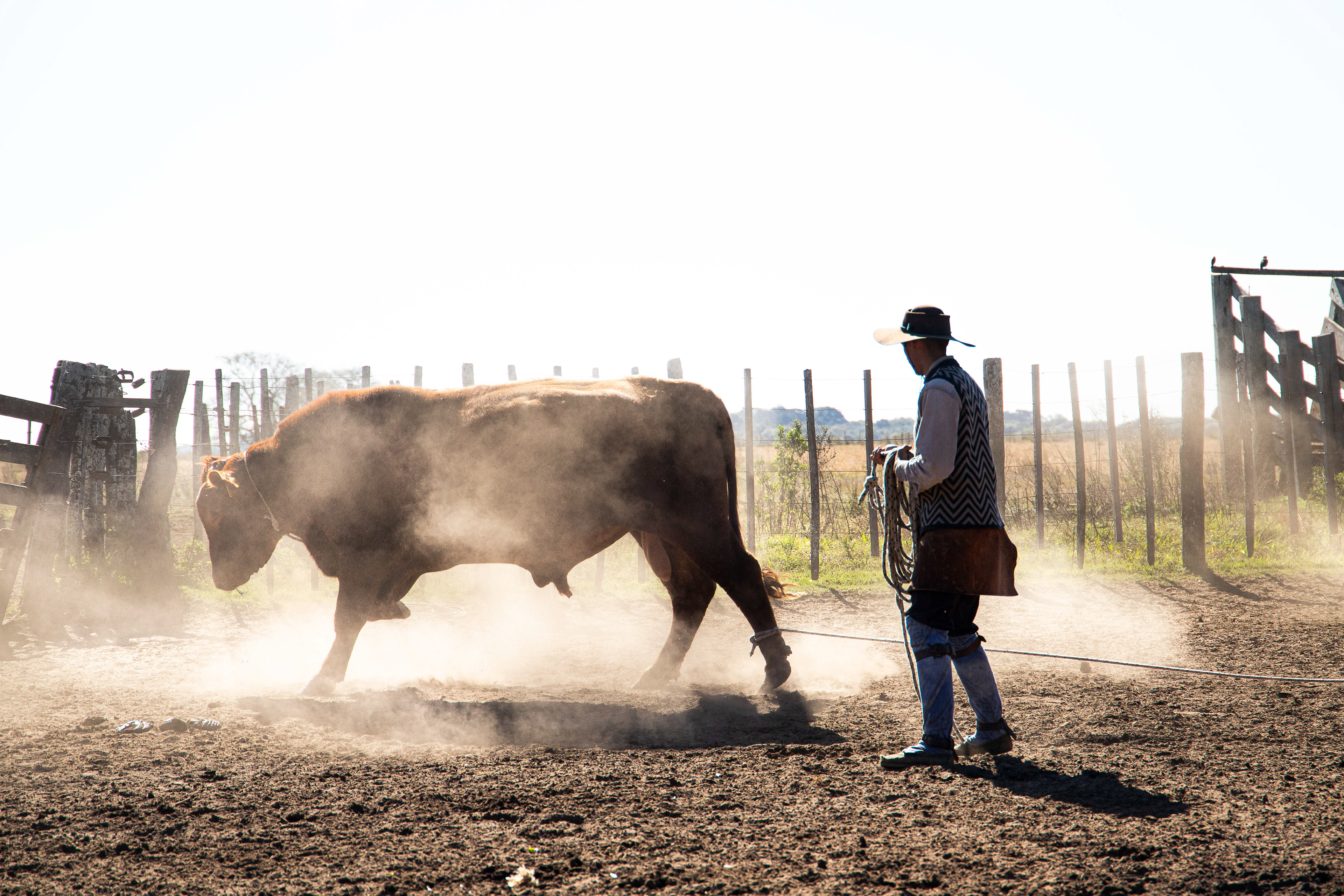 Entre tierra y toros