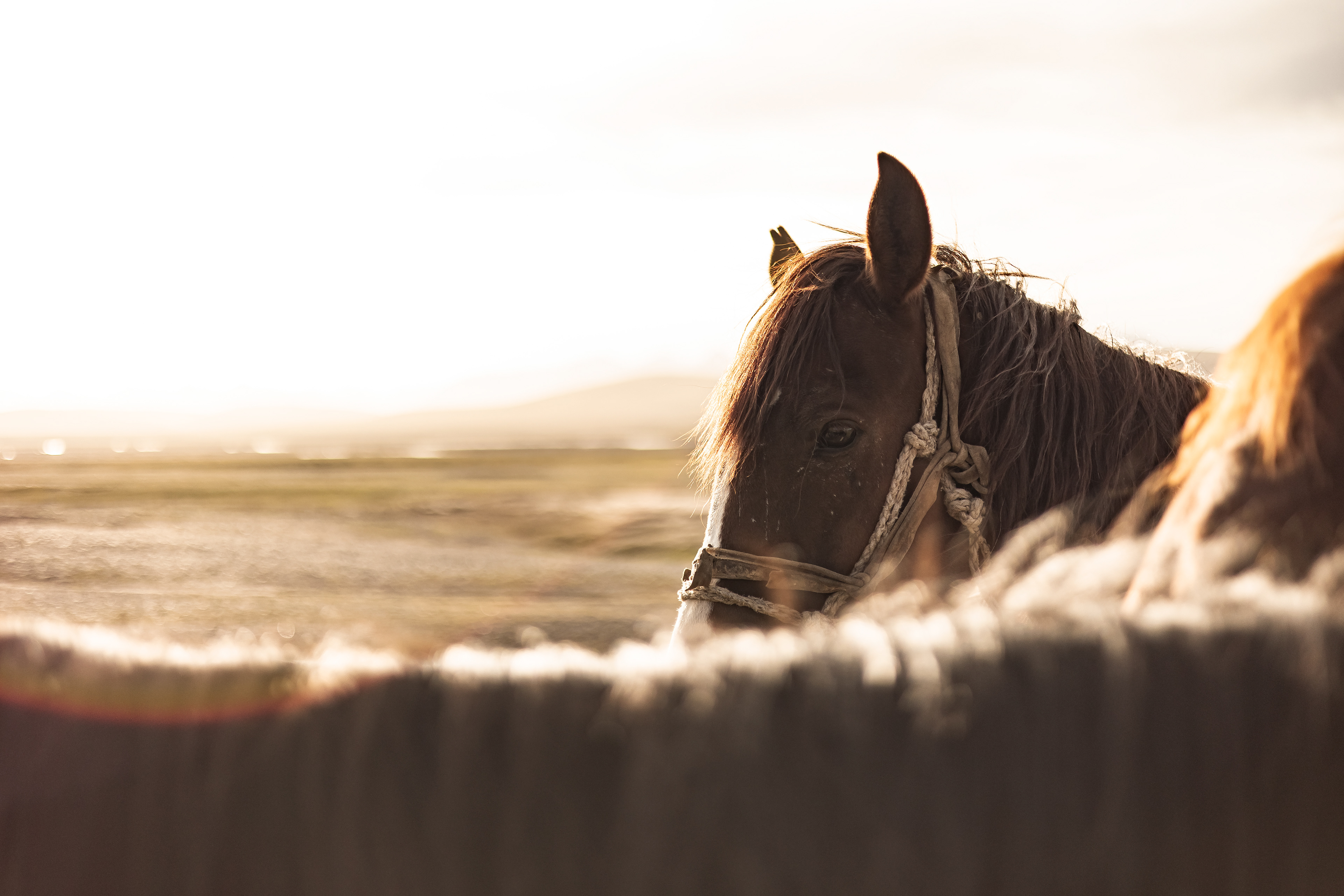 Luz calida y la tarde